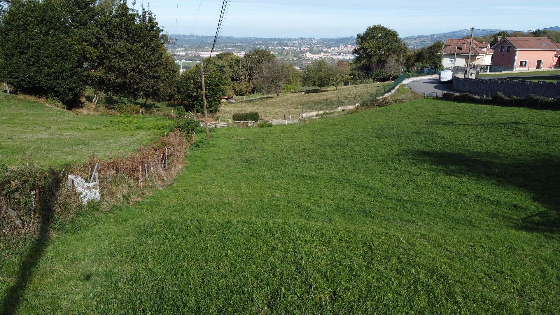 Fincas y solares-Venta-Siero-1941941-Foto-4