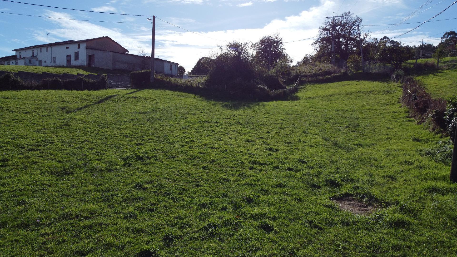 Fincas y solares-Venta-Siero-1941941-Foto-7