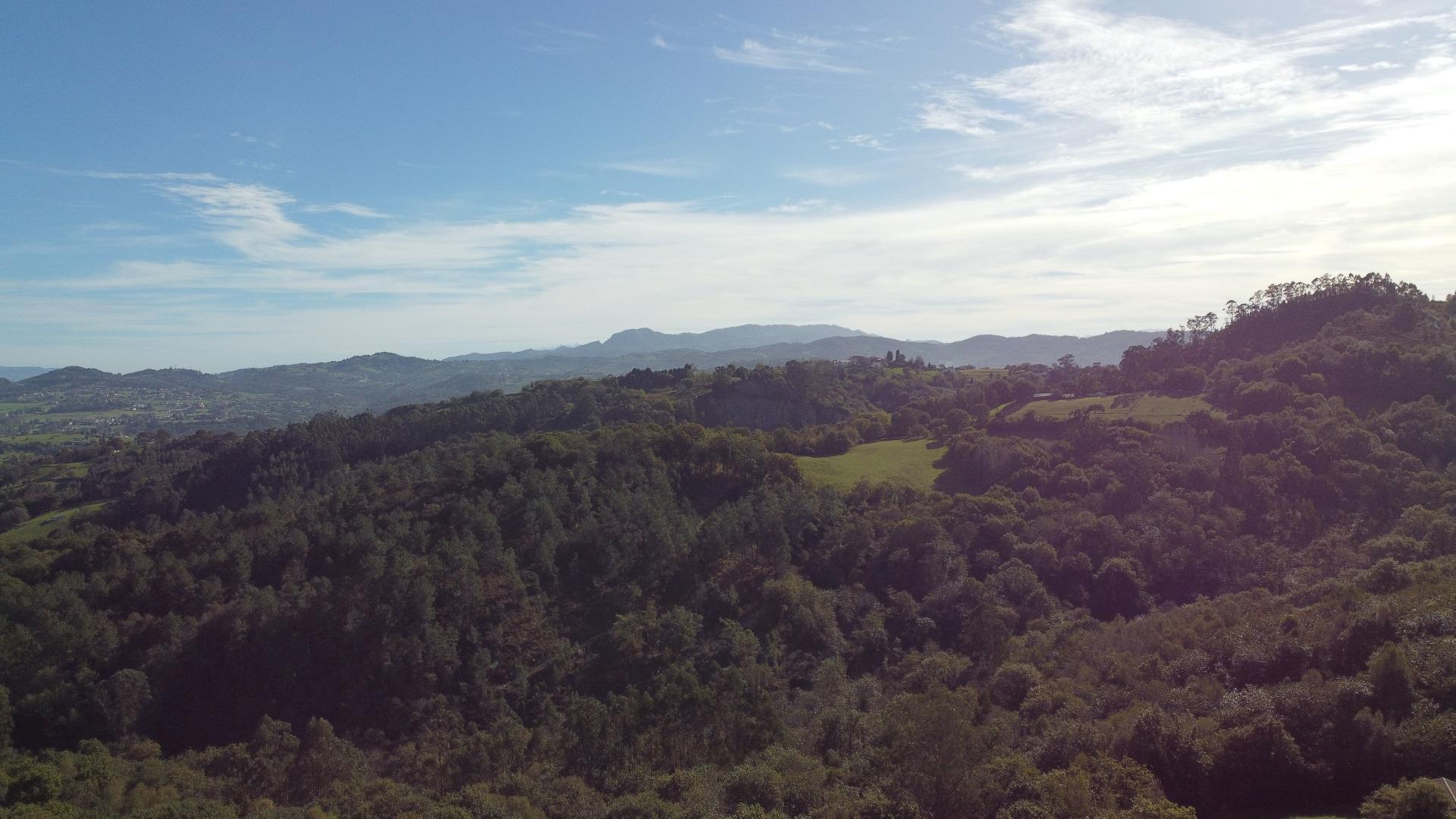 Fincas y solares-Venta-Siero-1941941-Foto-10