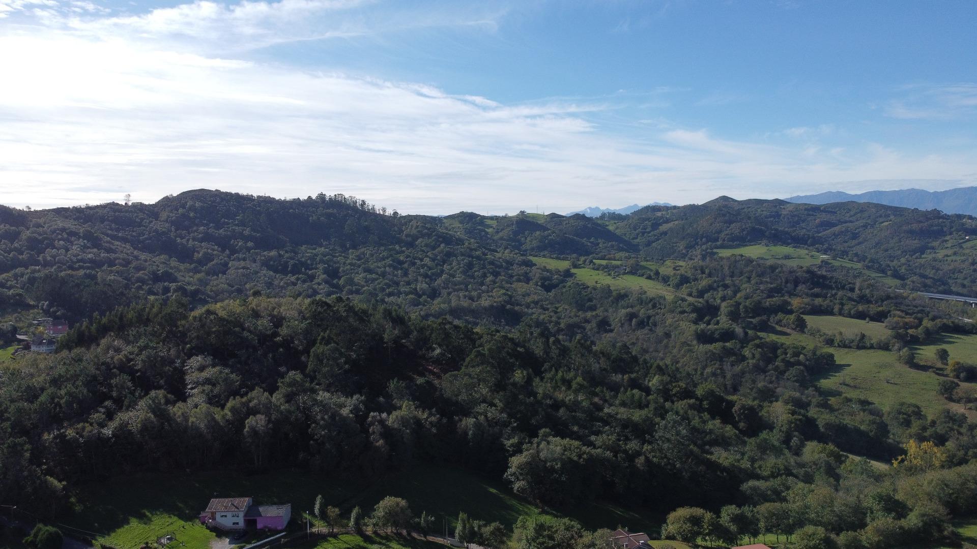 Fincas y solares-Venta-Siero-1941941-Foto-15