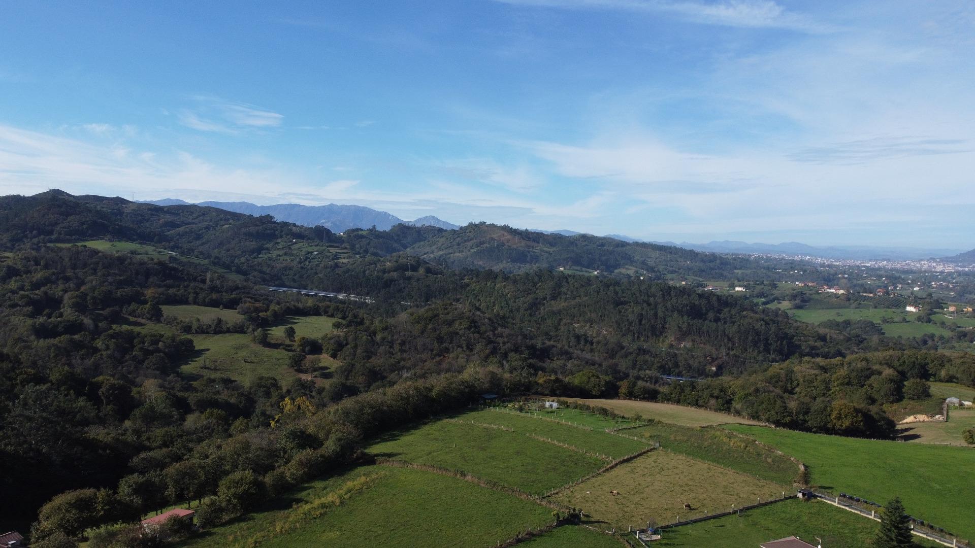 Fincas y solares-Venta-Siero-1941941-Foto-18