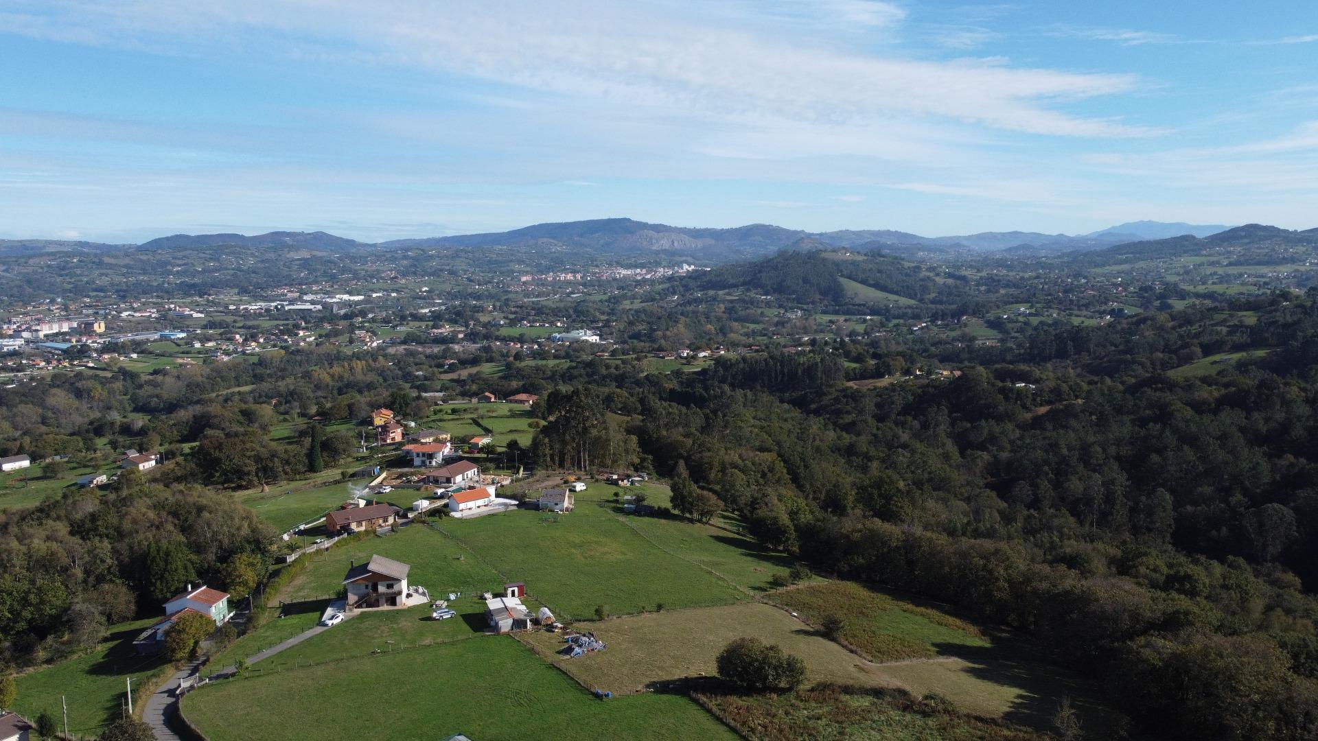 Fincas y solares-Venta-Siero-1941941-Foto-19