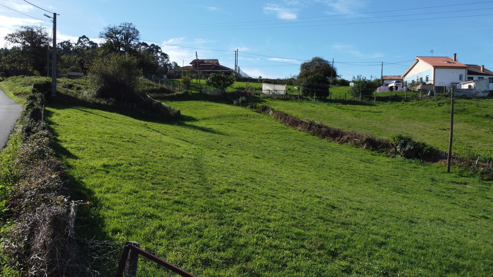 Fincas y solares-Venta-Siero-1941941-Foto-25