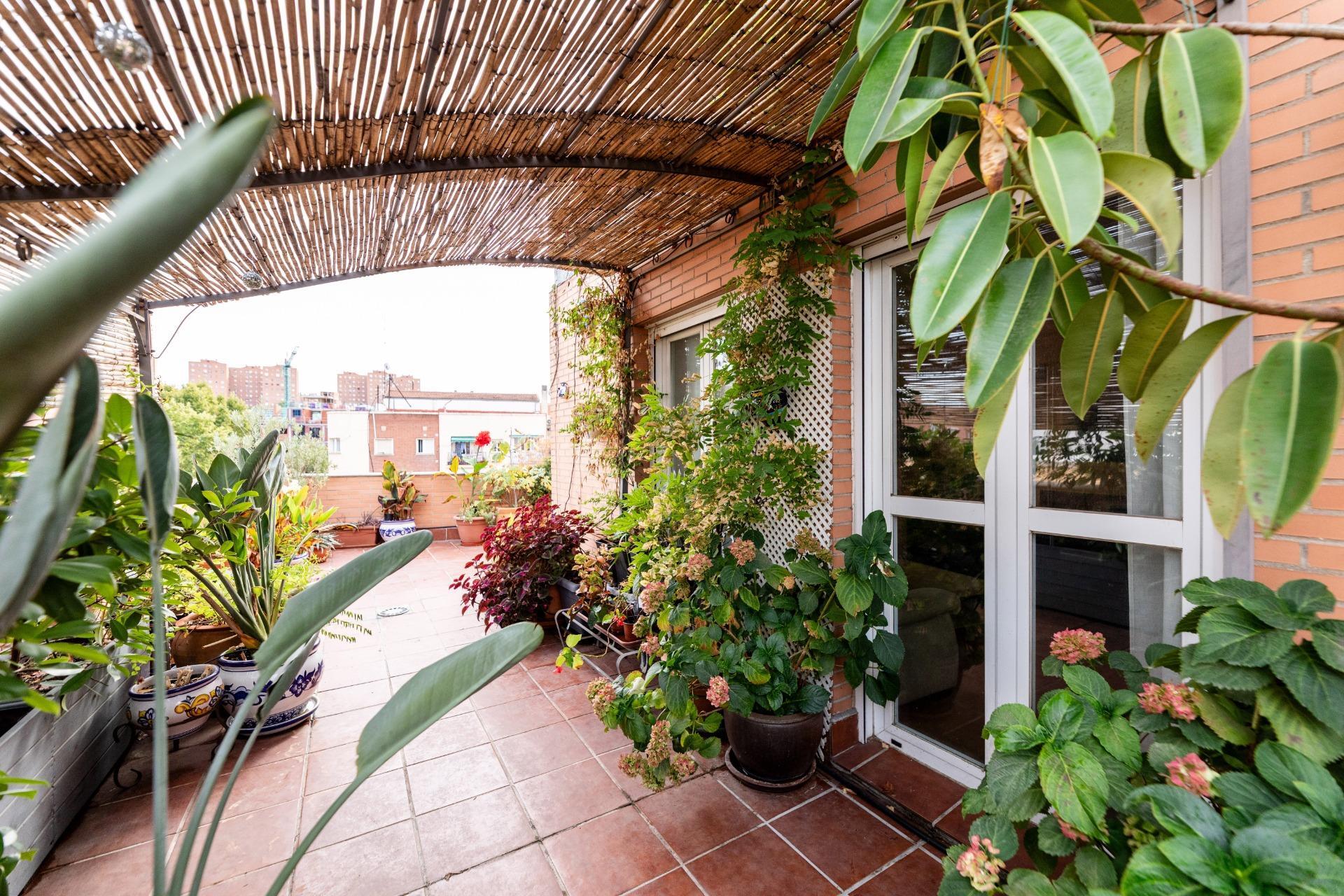 Pisos-Venta-Madrid-1941899-Foto-6