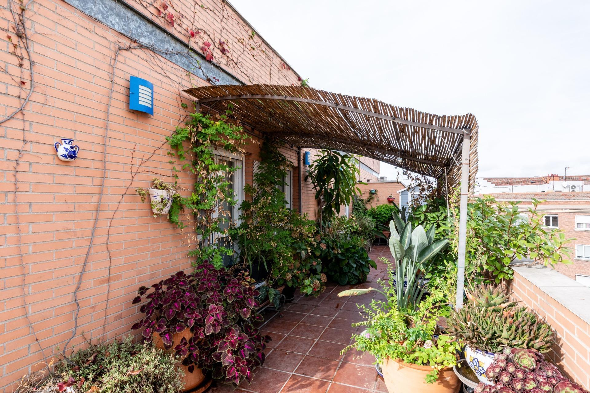 Pisos-Venta-Madrid-1941899-Foto-5