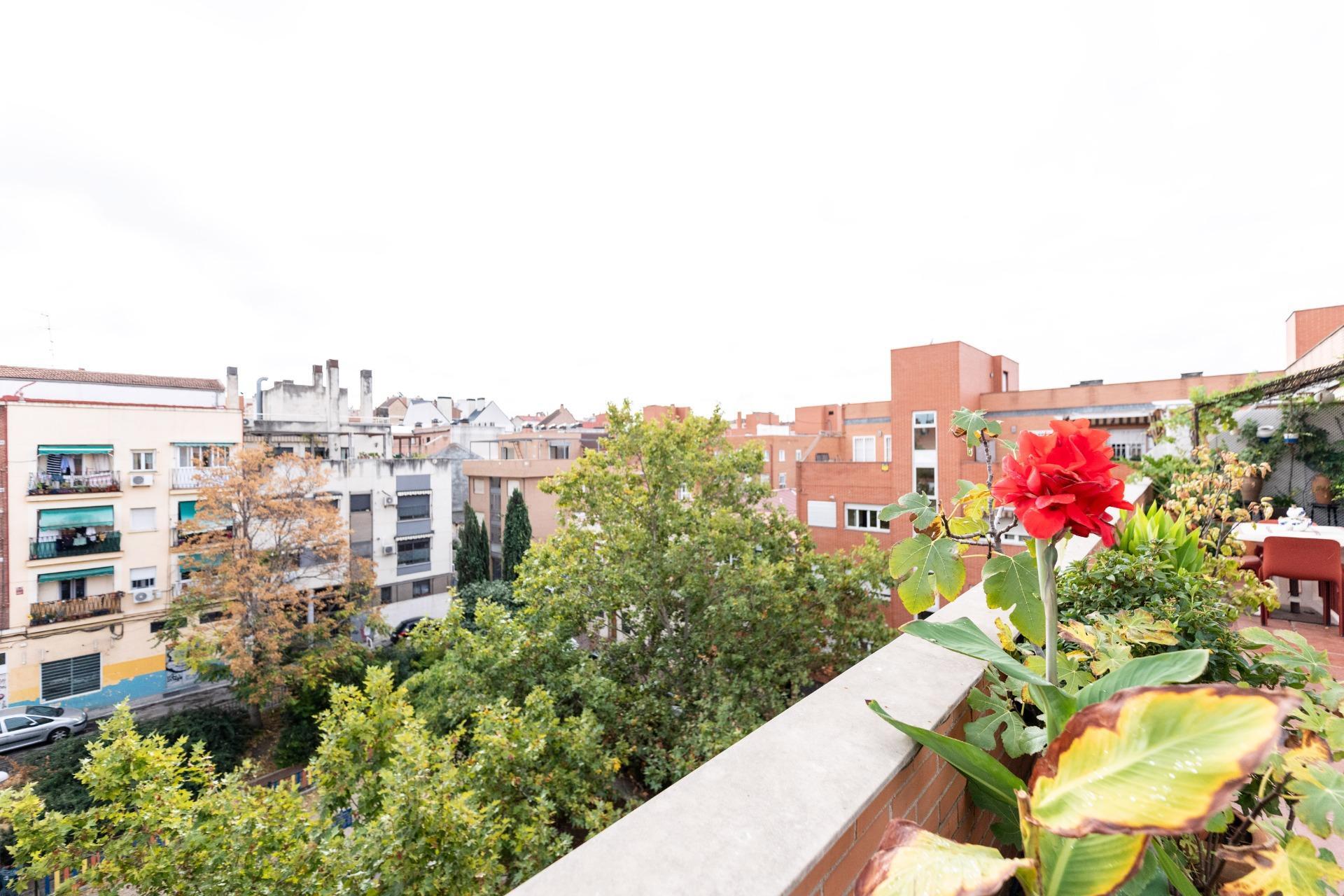 Pisos-Venta-Madrid-1941899-Foto-25