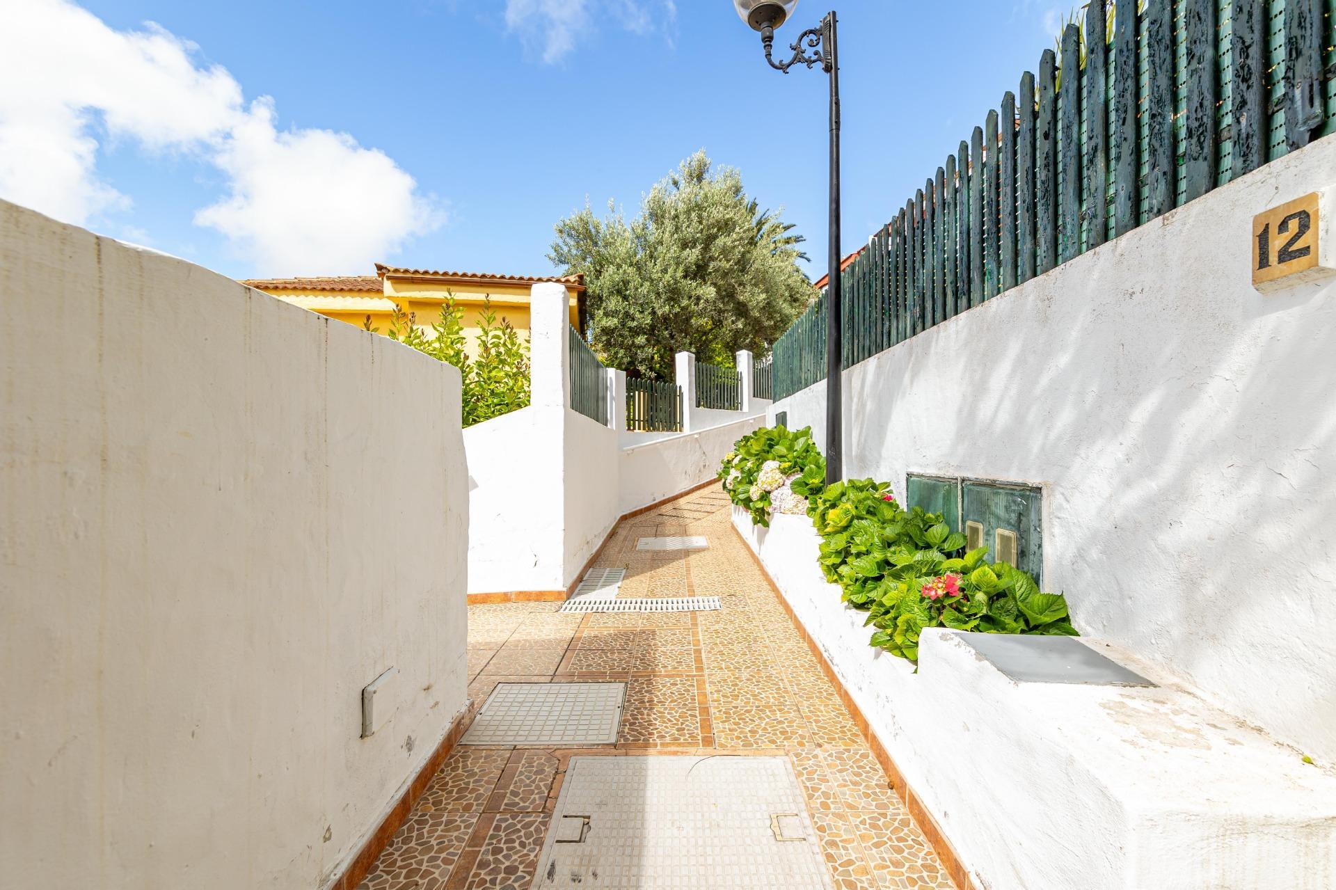 Casas o chalets-Venta-Santa BrÃ­gida-1941902-Foto-59