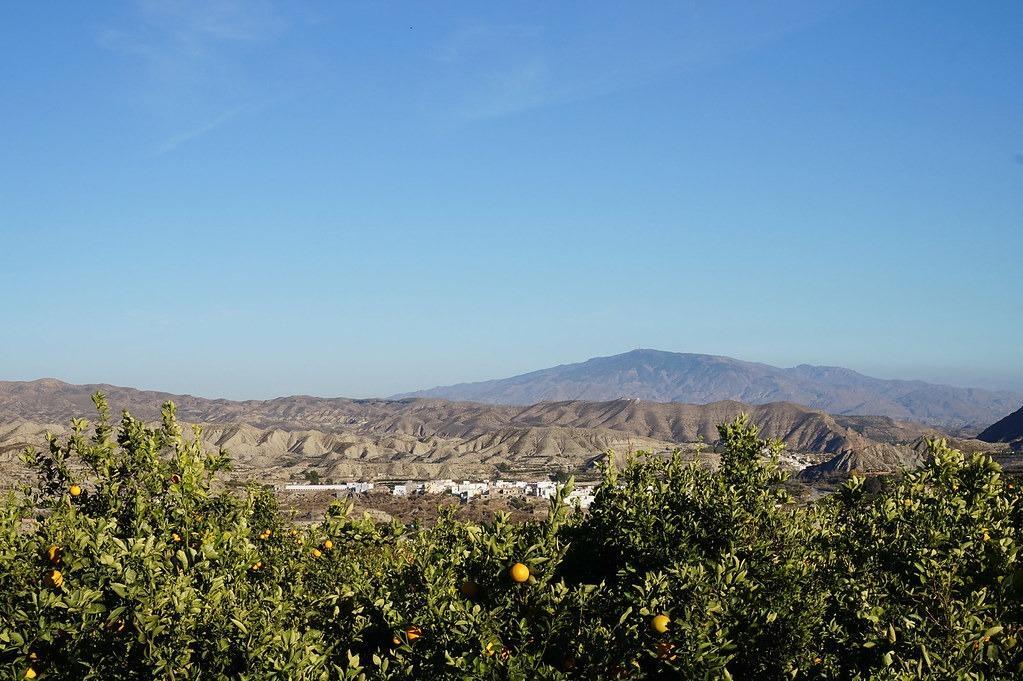 Casas o chalets-Venta-Instinción-1941905-Foto-49