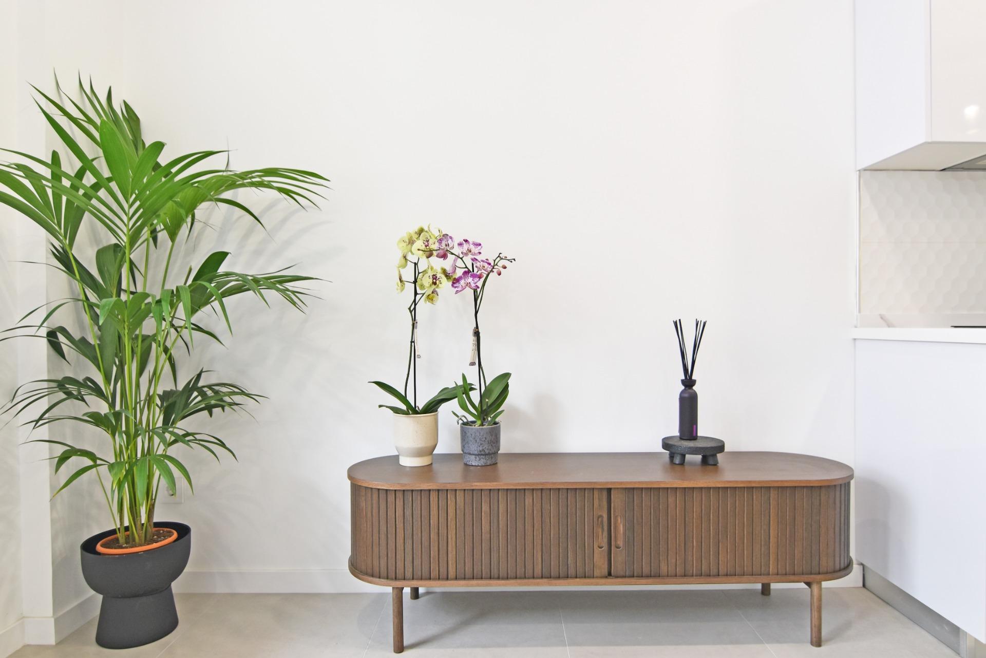 Pisos-Venta-Las Palmas de Gran Canaria-1745043-Foto-10