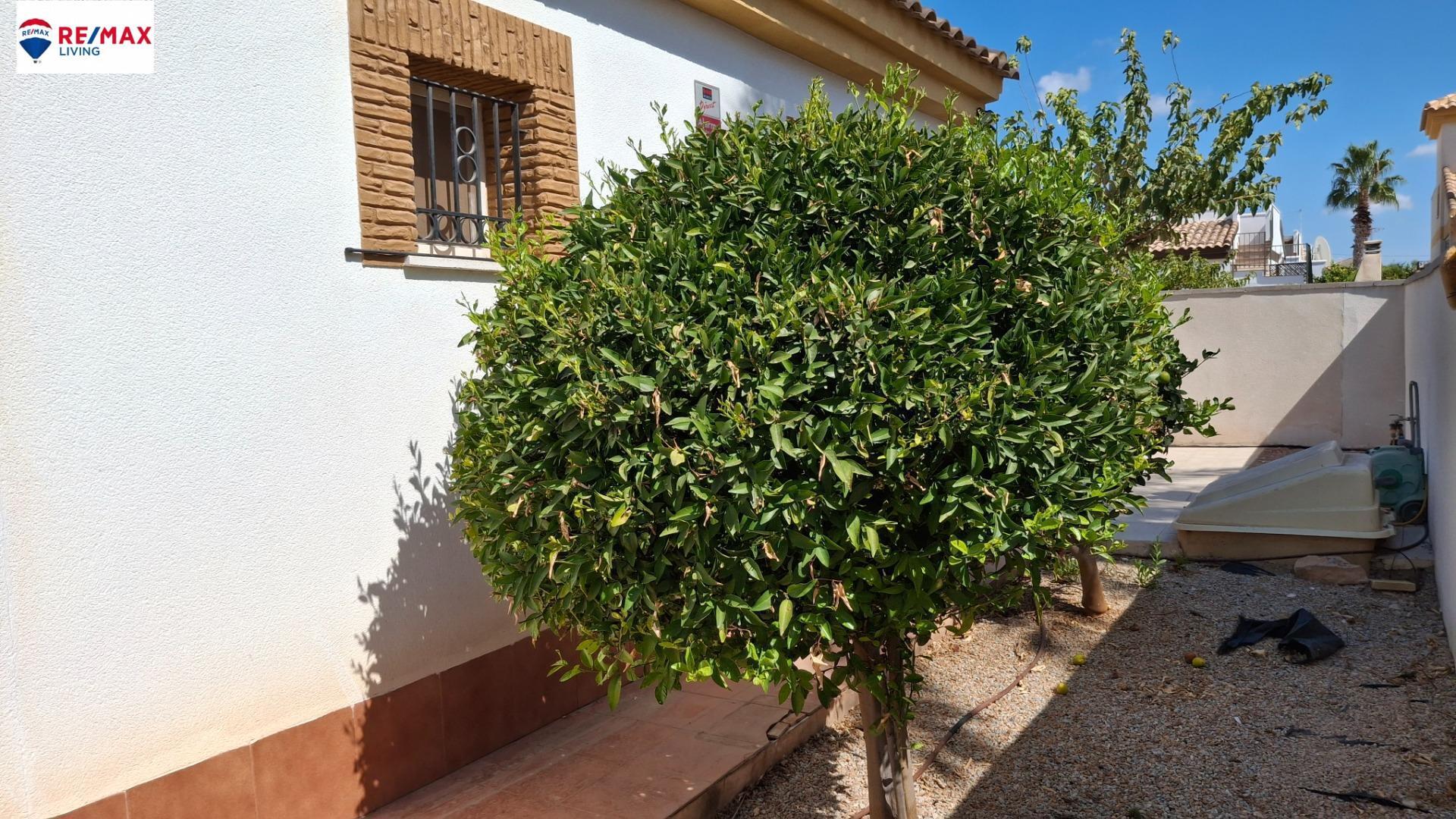 Casas o chalets-Venta-Sucina-1886885-Foto-69