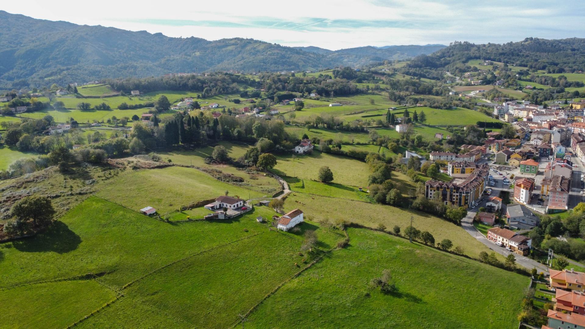 Casas o chalets-Venta-Las Navas del MarquÃ©s-1941947-Foto-55