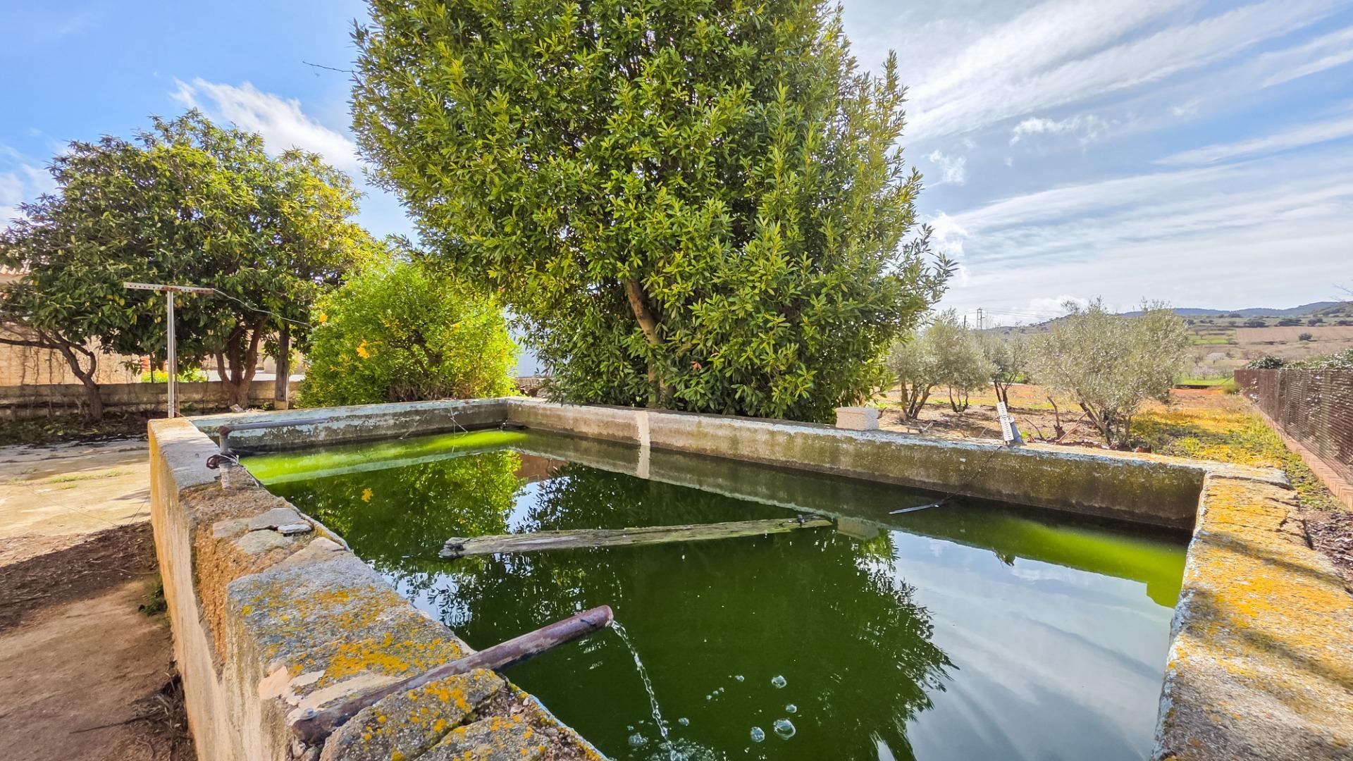 Casas o chalets-Venta-CÃºllar-1682290-Foto-19