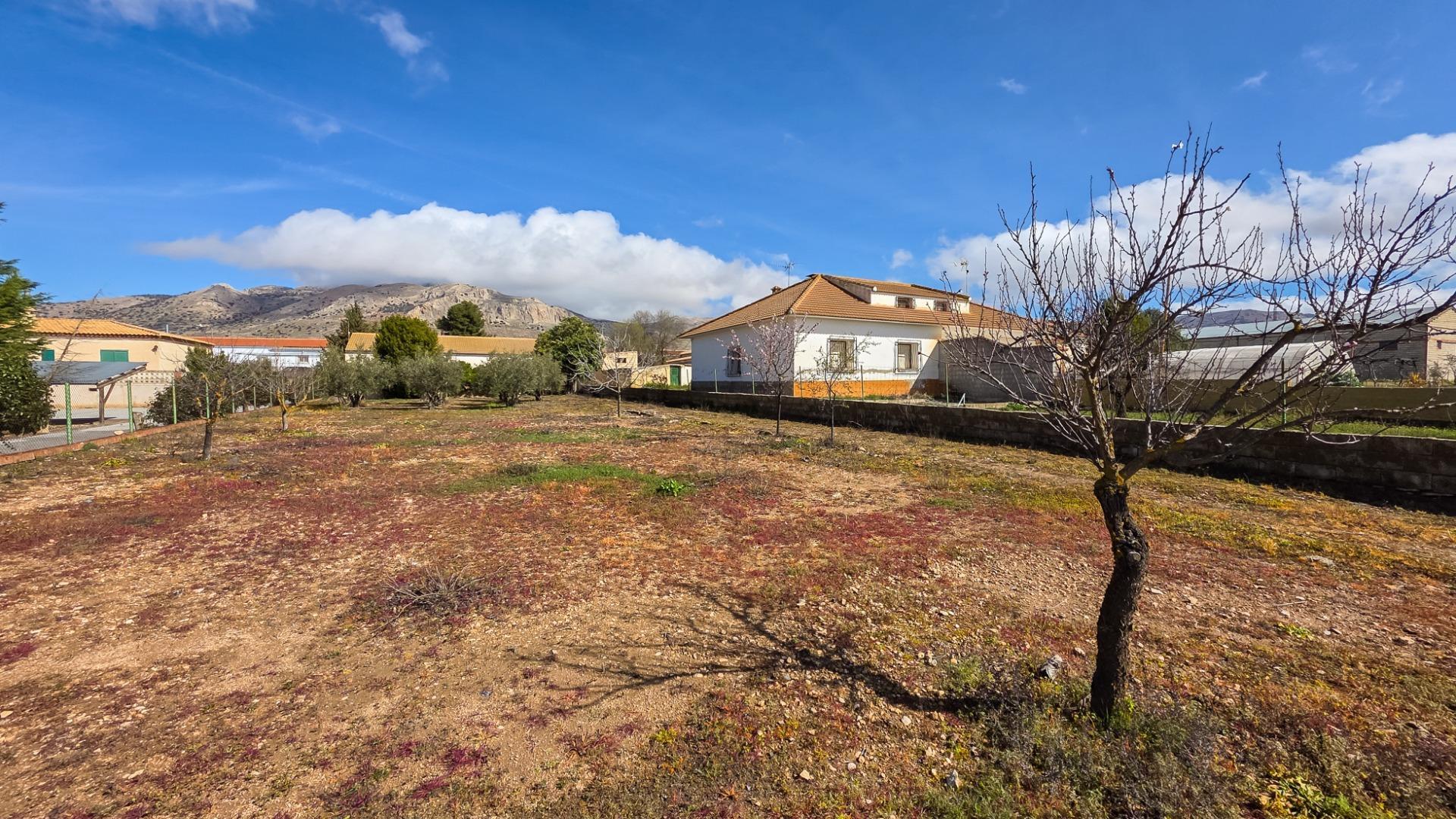 Casas o chalets-Venta-CÃºllar-1682290-Foto-30