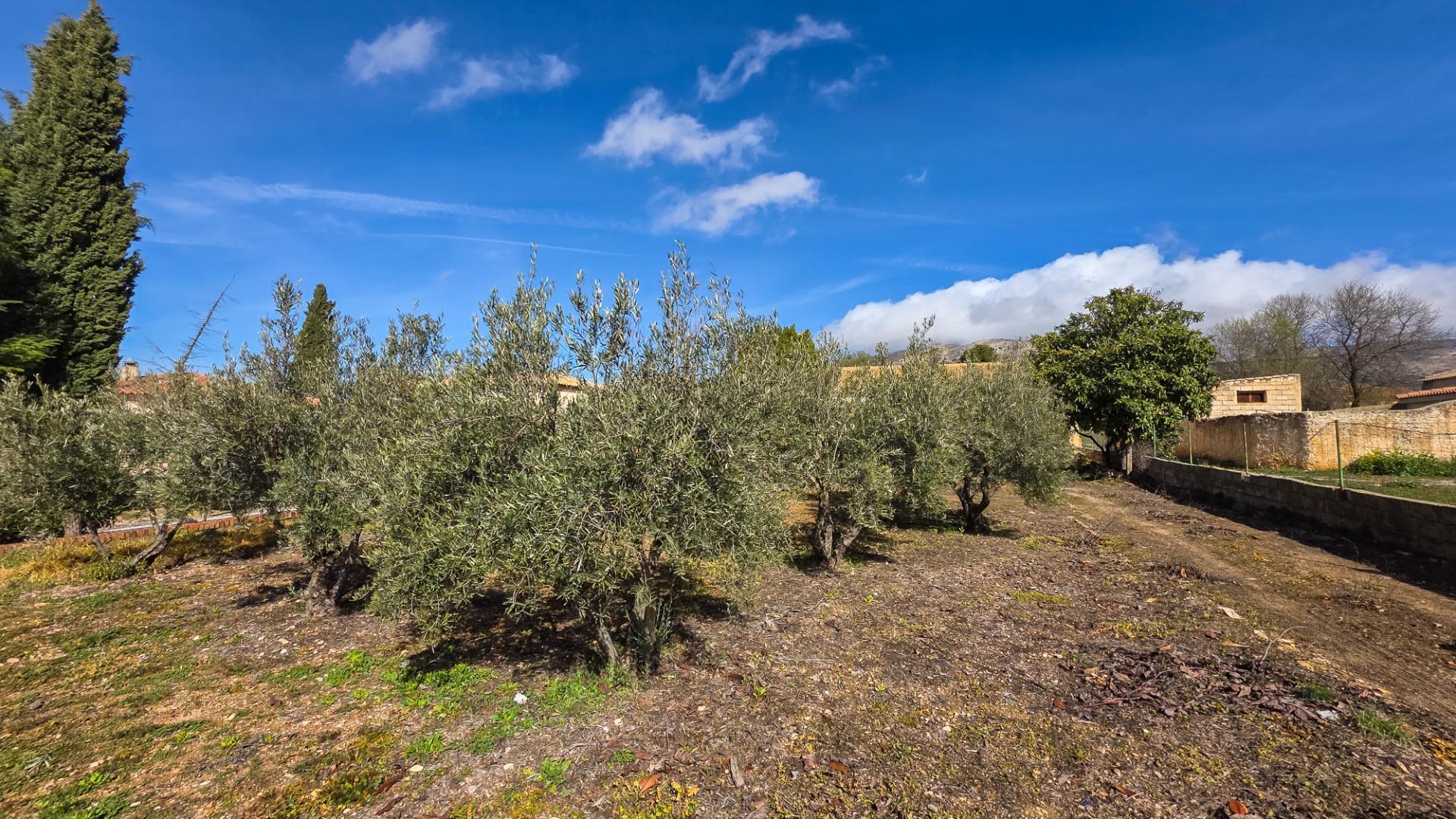 Casas o chalets-Venta-CÃºllar-1682290-Foto-28