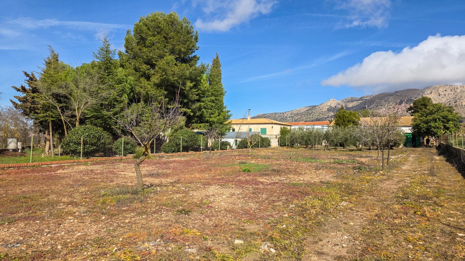 Casas o chalets-Venta-CÃºllar-1682290-Foto-32