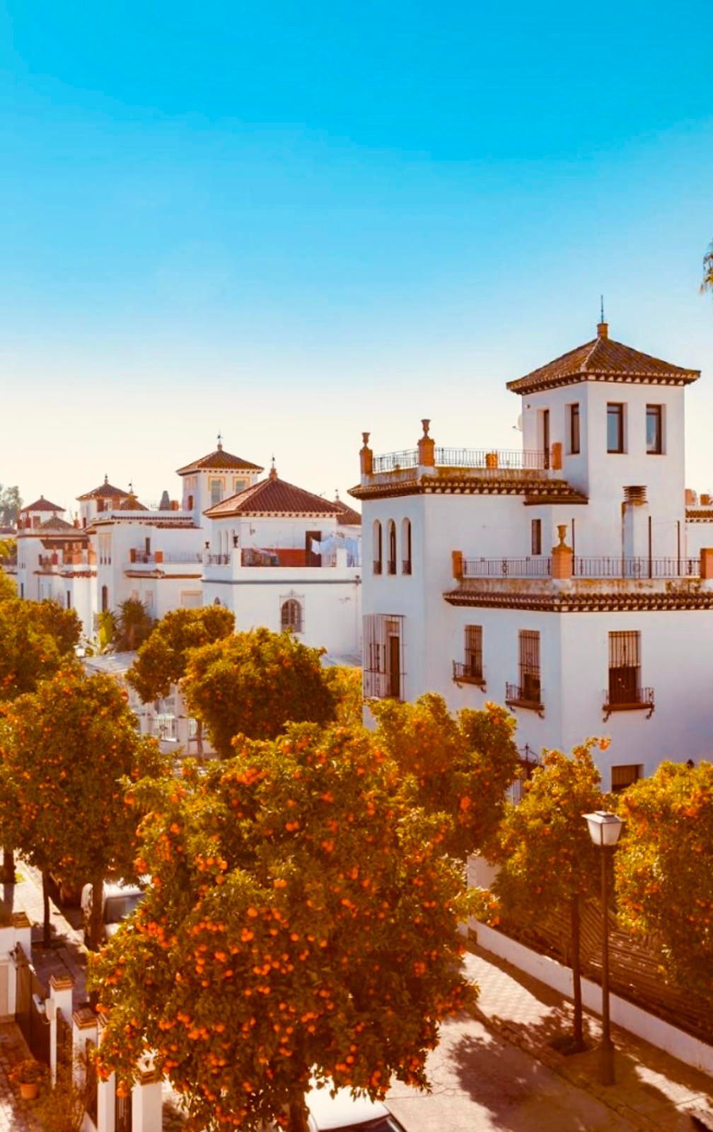 Casas o chalets-Venta-Burguillos-1876325-Foto-56