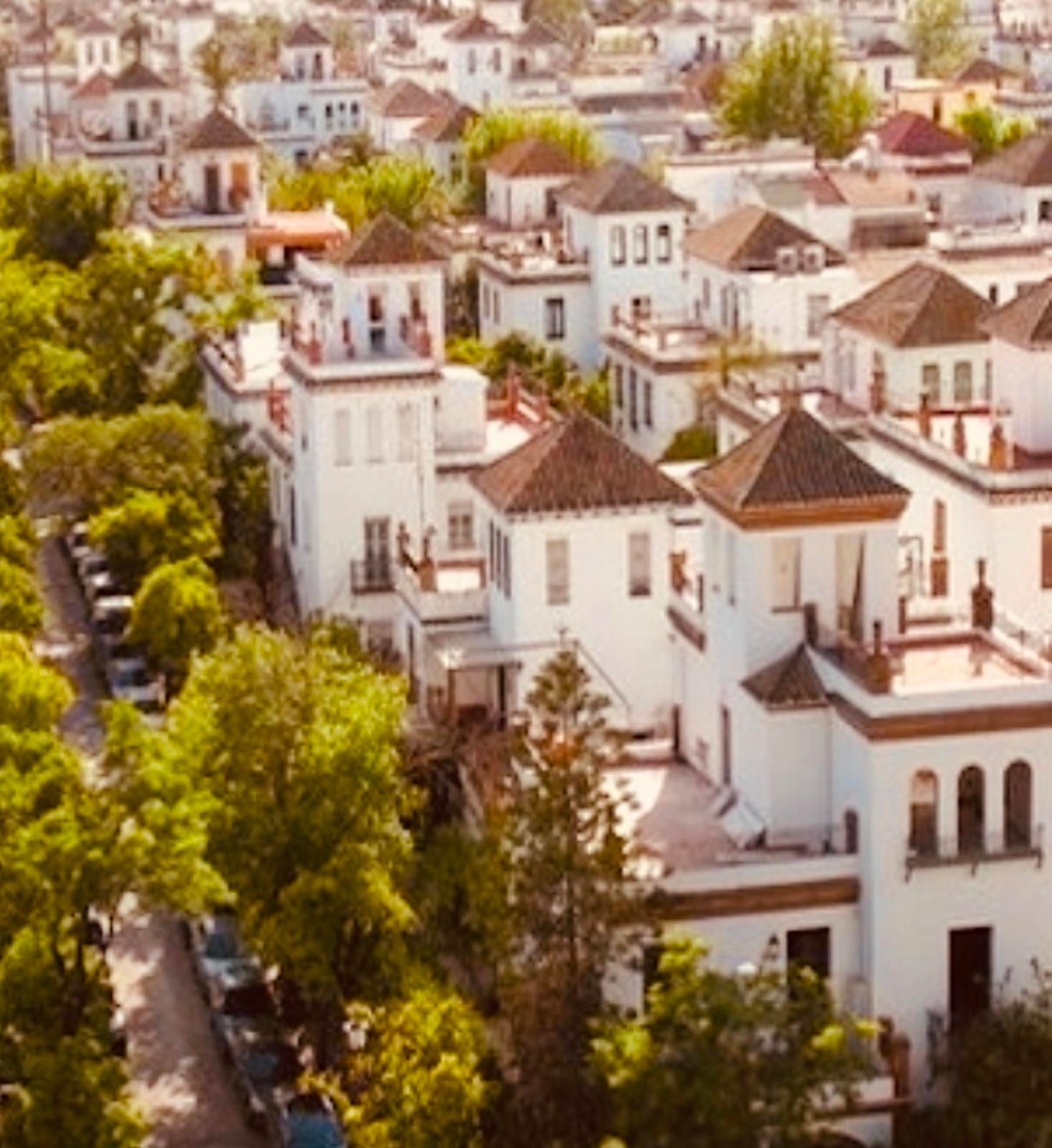 Casas o chalets-Venta-Burguillos-1876325-Foto-57