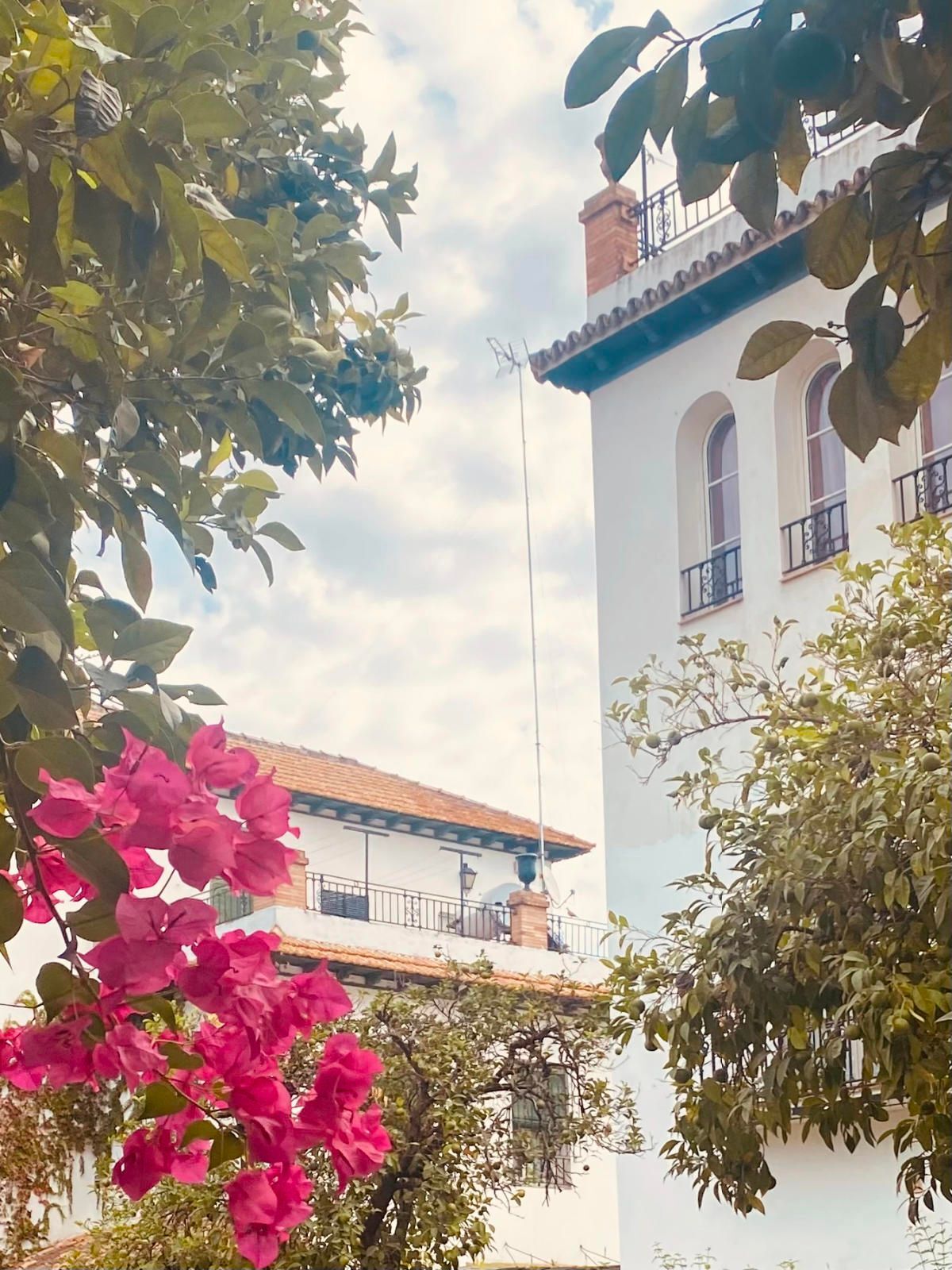 Casas o chalets-Venta-Burguillos-1876325-Foto-58