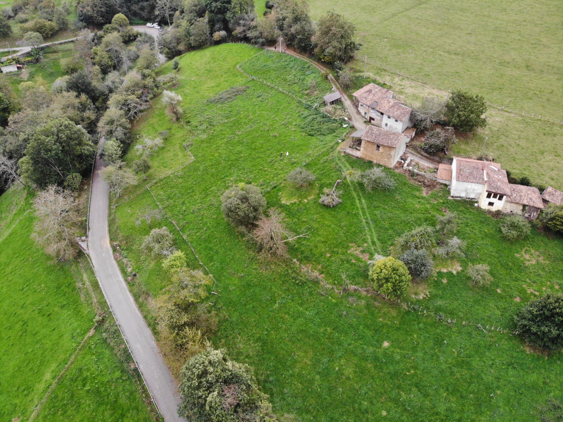 Fincas y solares-Venta-PiloÃ±a-1439492-Foto-5