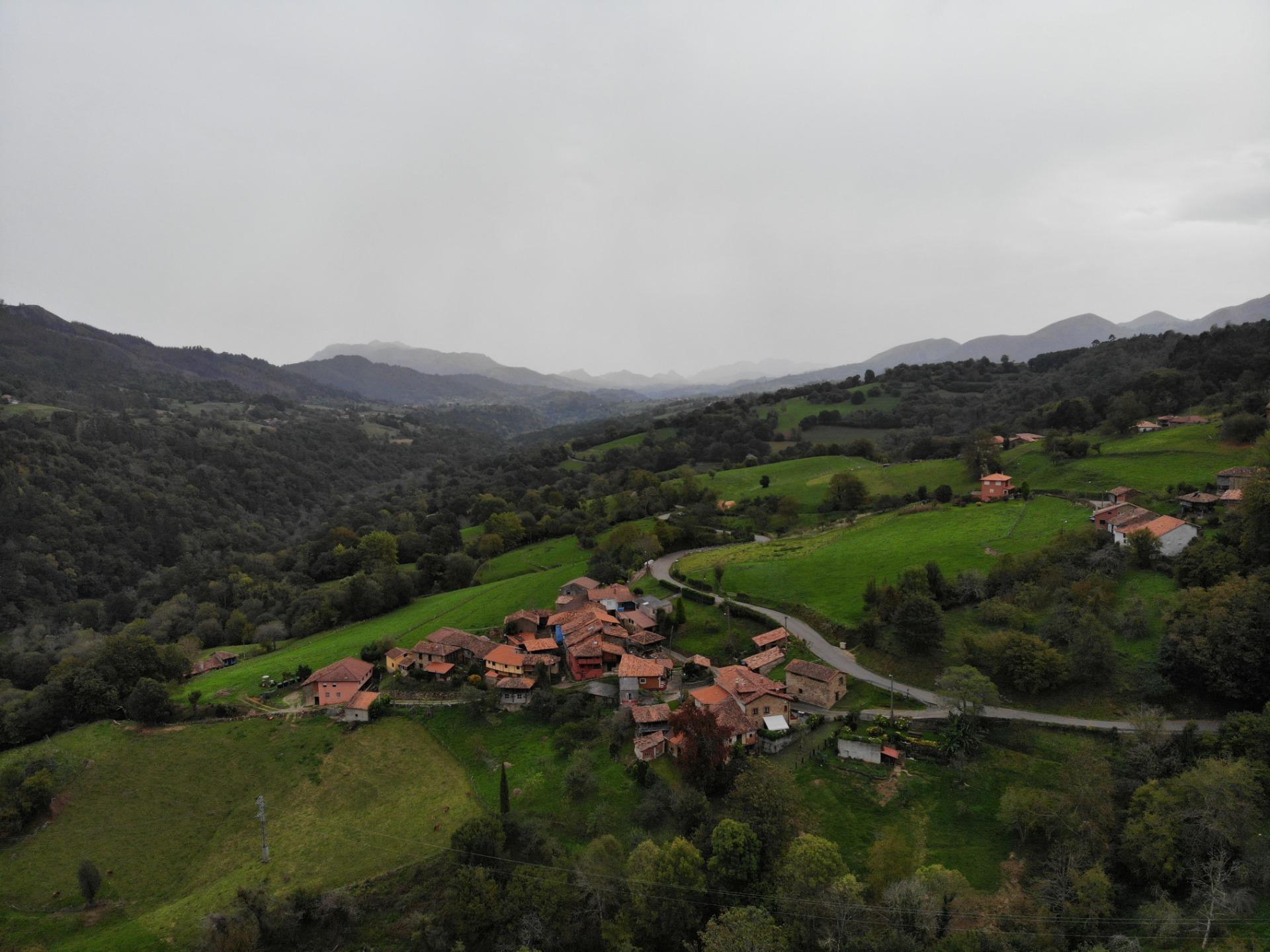 Fincas y solares-Venta-PiloÃ±a-1439492-Foto-9