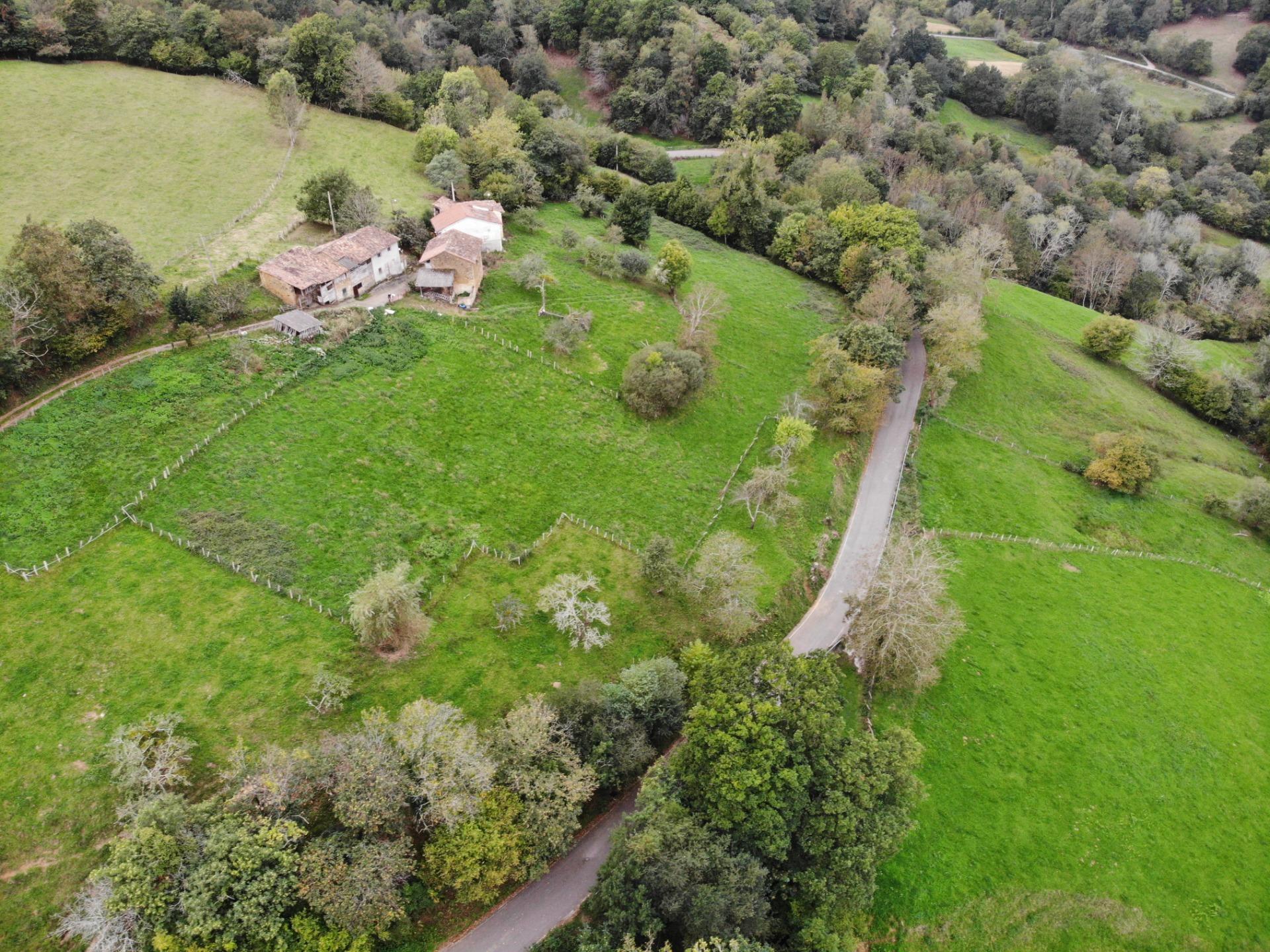 Fincas y solares-Venta-PiloÃ±a-1439492-Foto-11