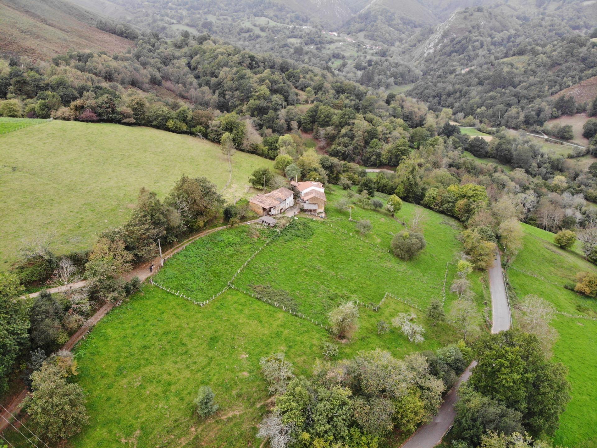 Fincas y solares-Venta-PiloÃ±a-1439492-Foto-12