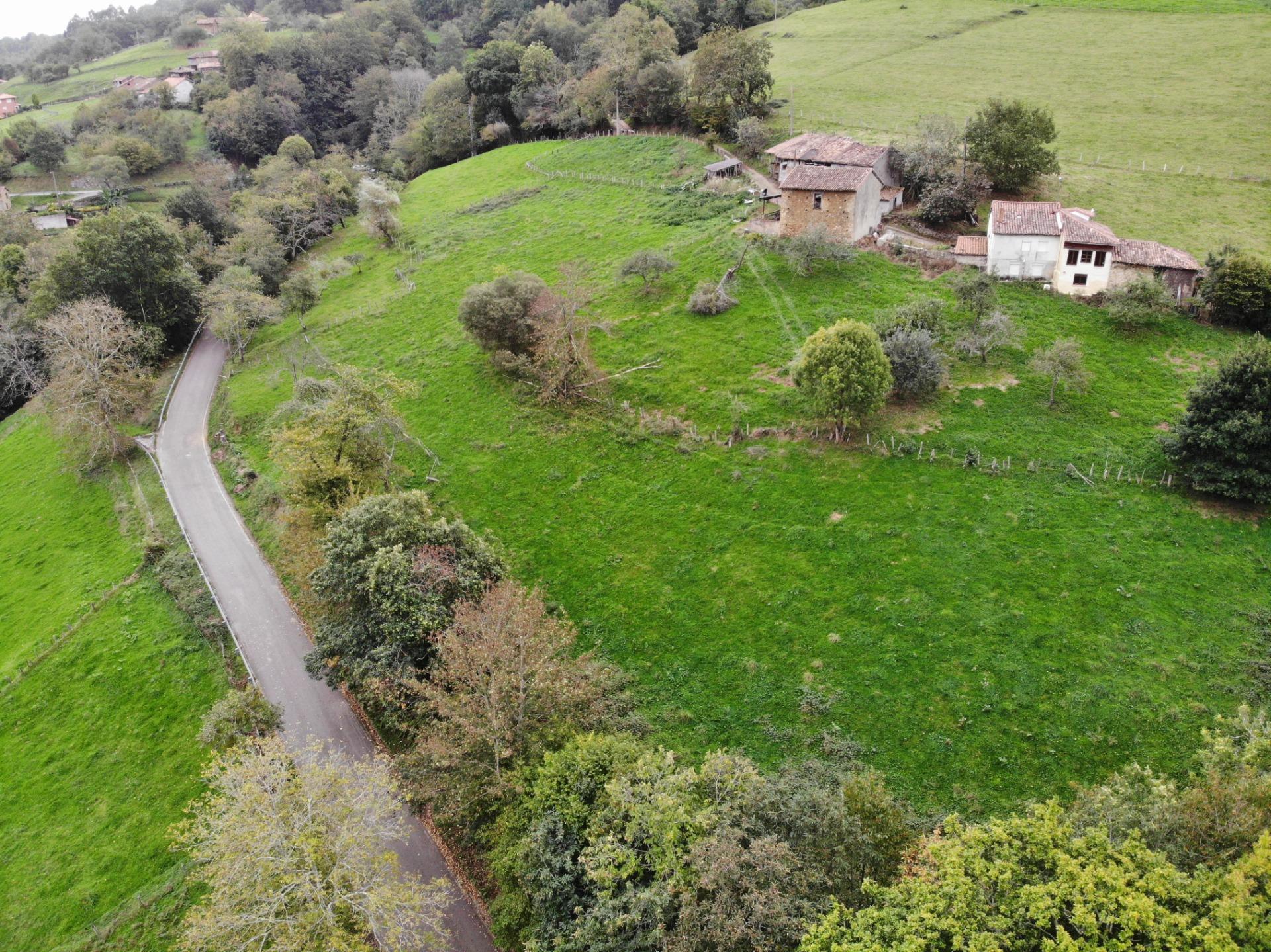 Fincas y solares-Venta-PiloÃ±a-1439492-Foto-16