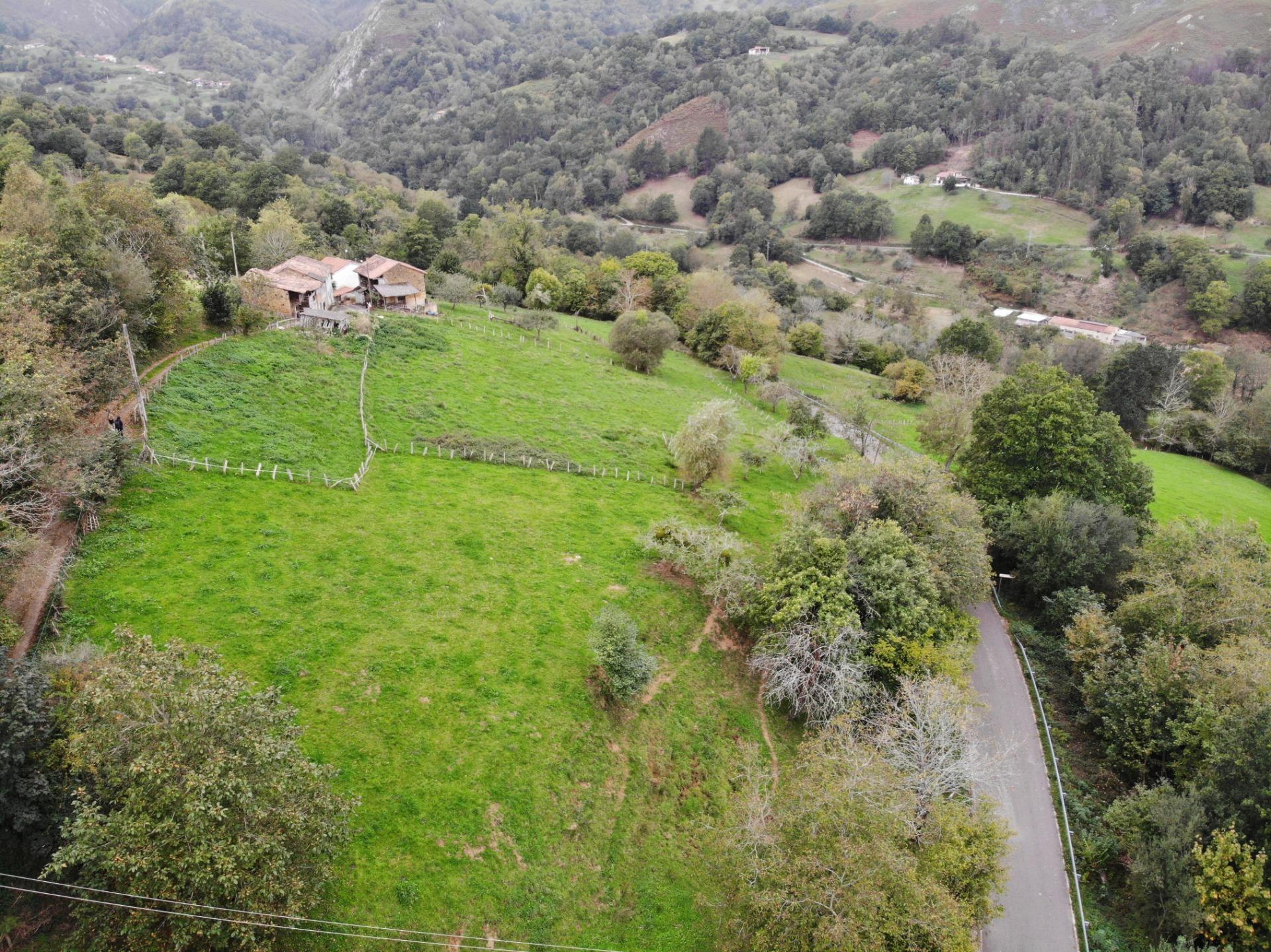 Fincas y solares-Venta-PiloÃ±a-1439492-Foto-13