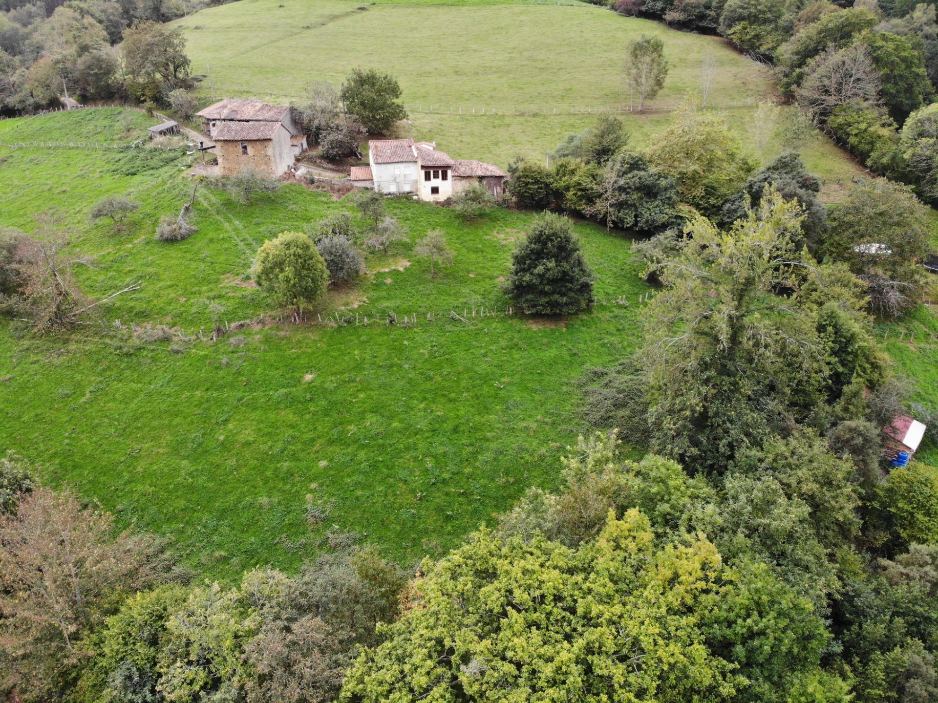 Fincas y solares-Venta-PiloÃ±a-1439492-Foto-15