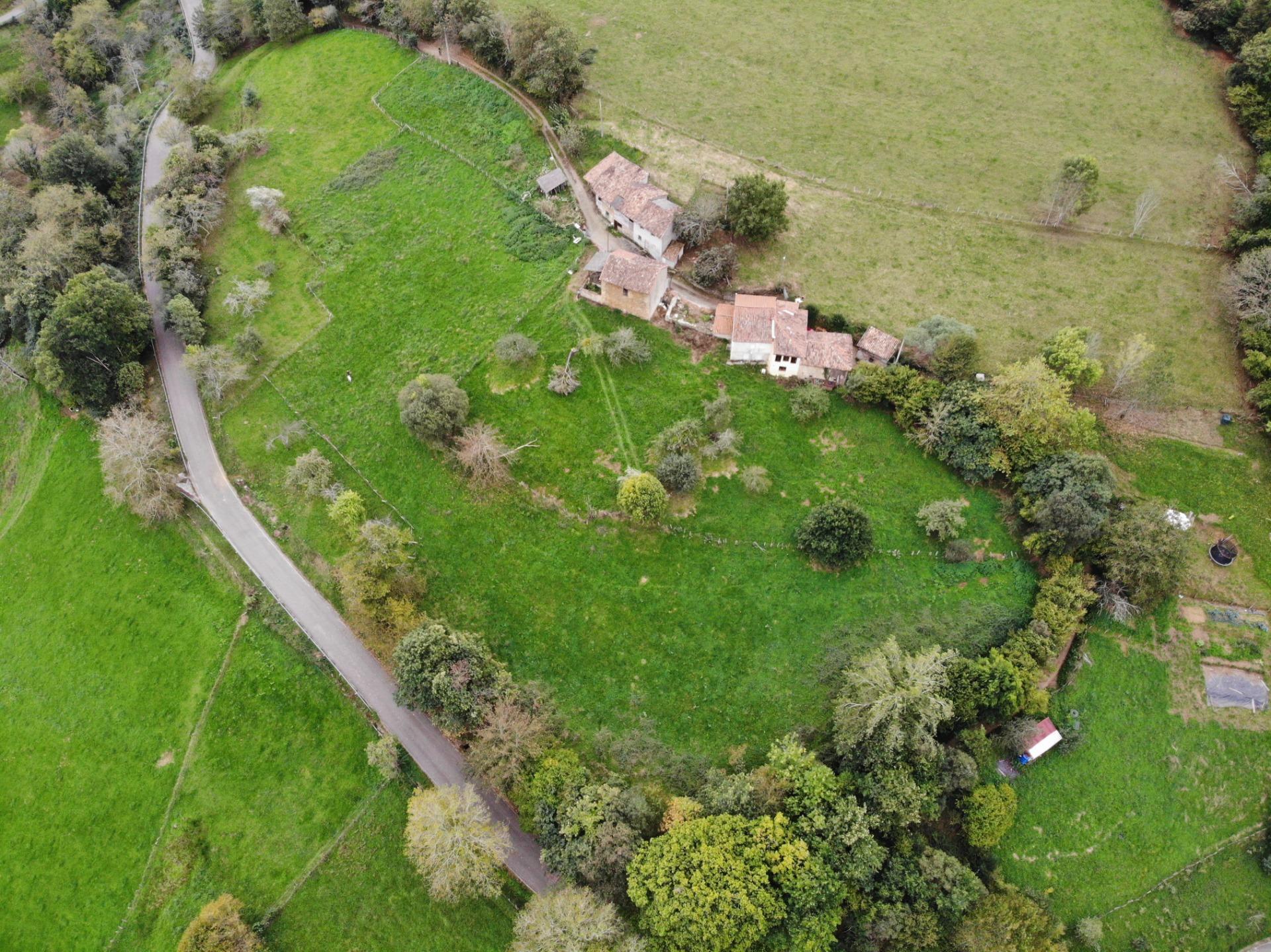 Fincas y solares-Venta-PiloÃ±a-1439492-Foto-21