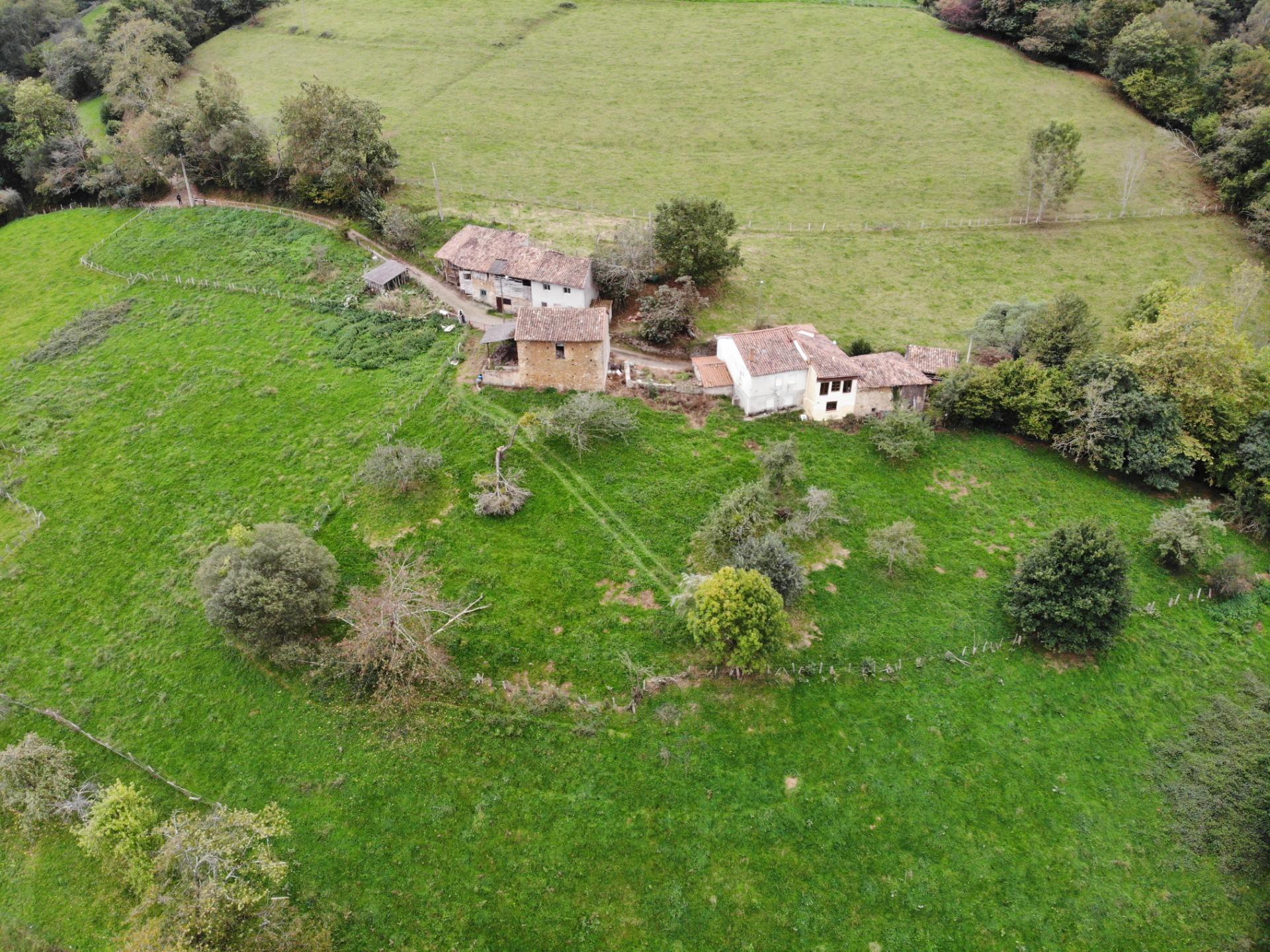 Fincas y solares-Venta-PiloÃ±a-1439492-Foto-18