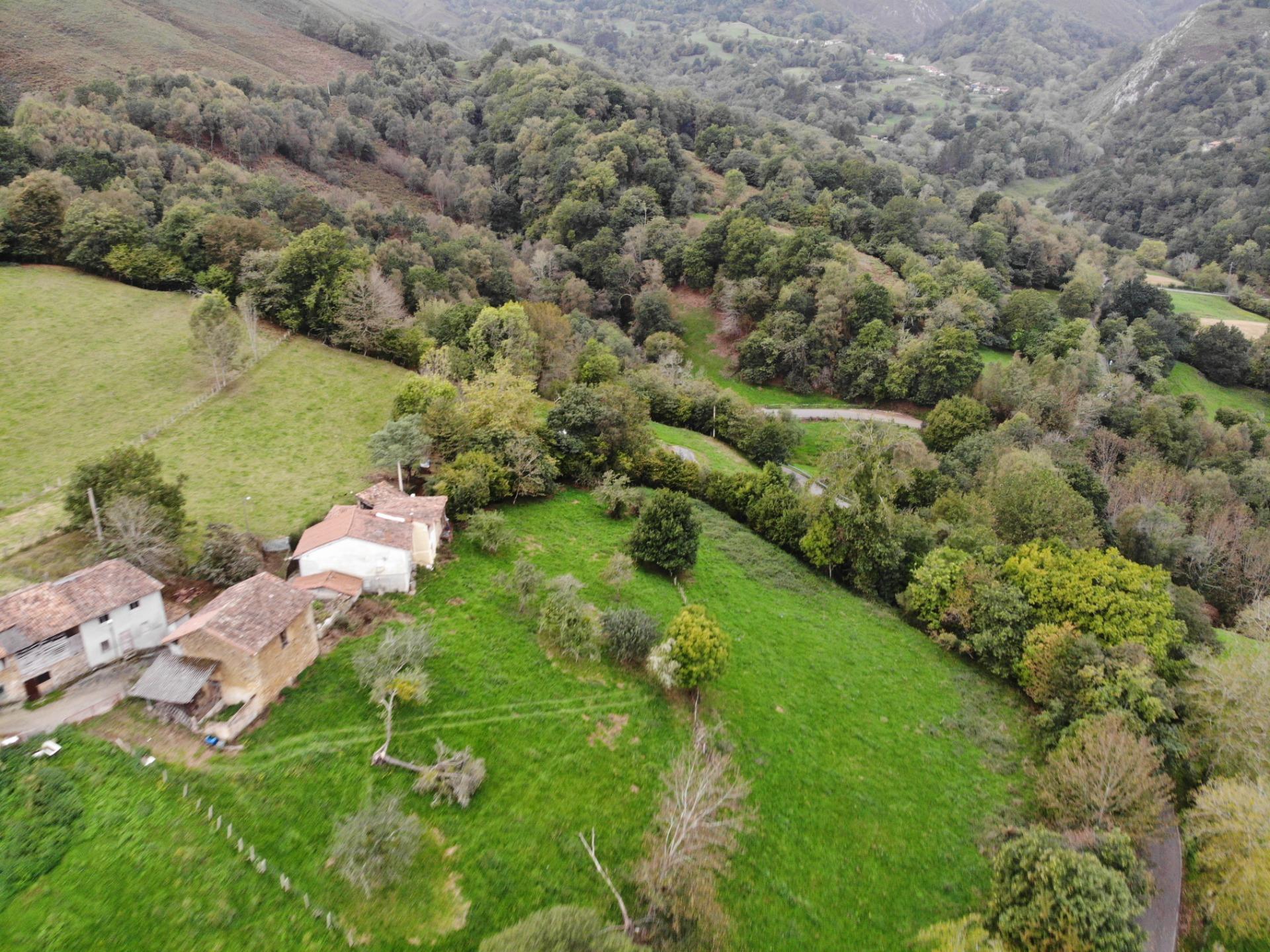 Fincas y solares-Venta-PiloÃ±a-1439492-Foto-27