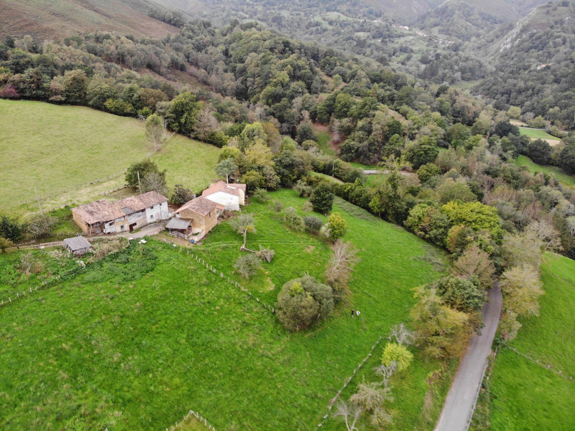 Fincas y solares-Venta-PiloÃ±a-1439492-Foto-28