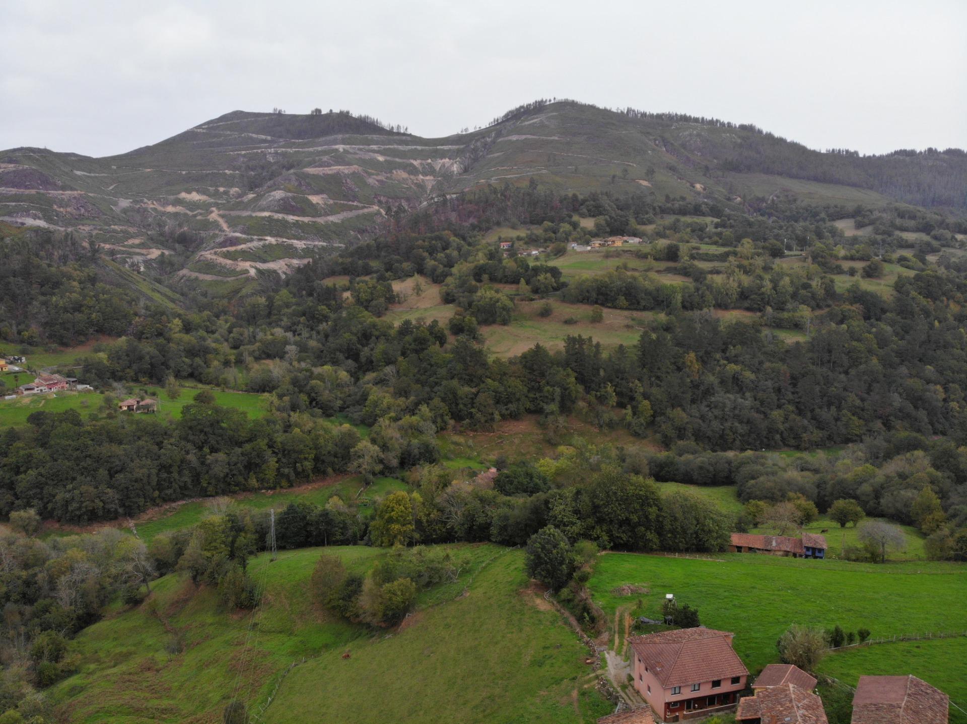 Fincas y solares-Venta-PiloÃ±a-1439492-Foto-34