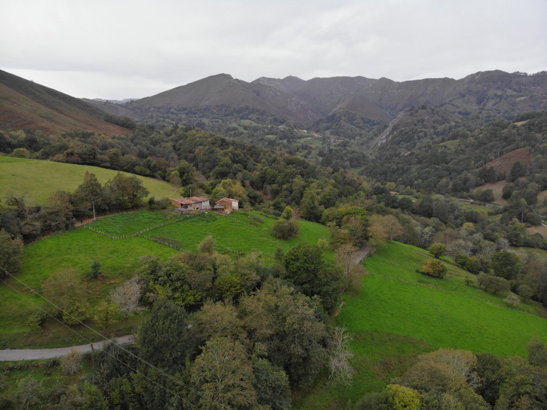 Fincas y solares-Venta-PiloÃ±a-1439492-Foto-36