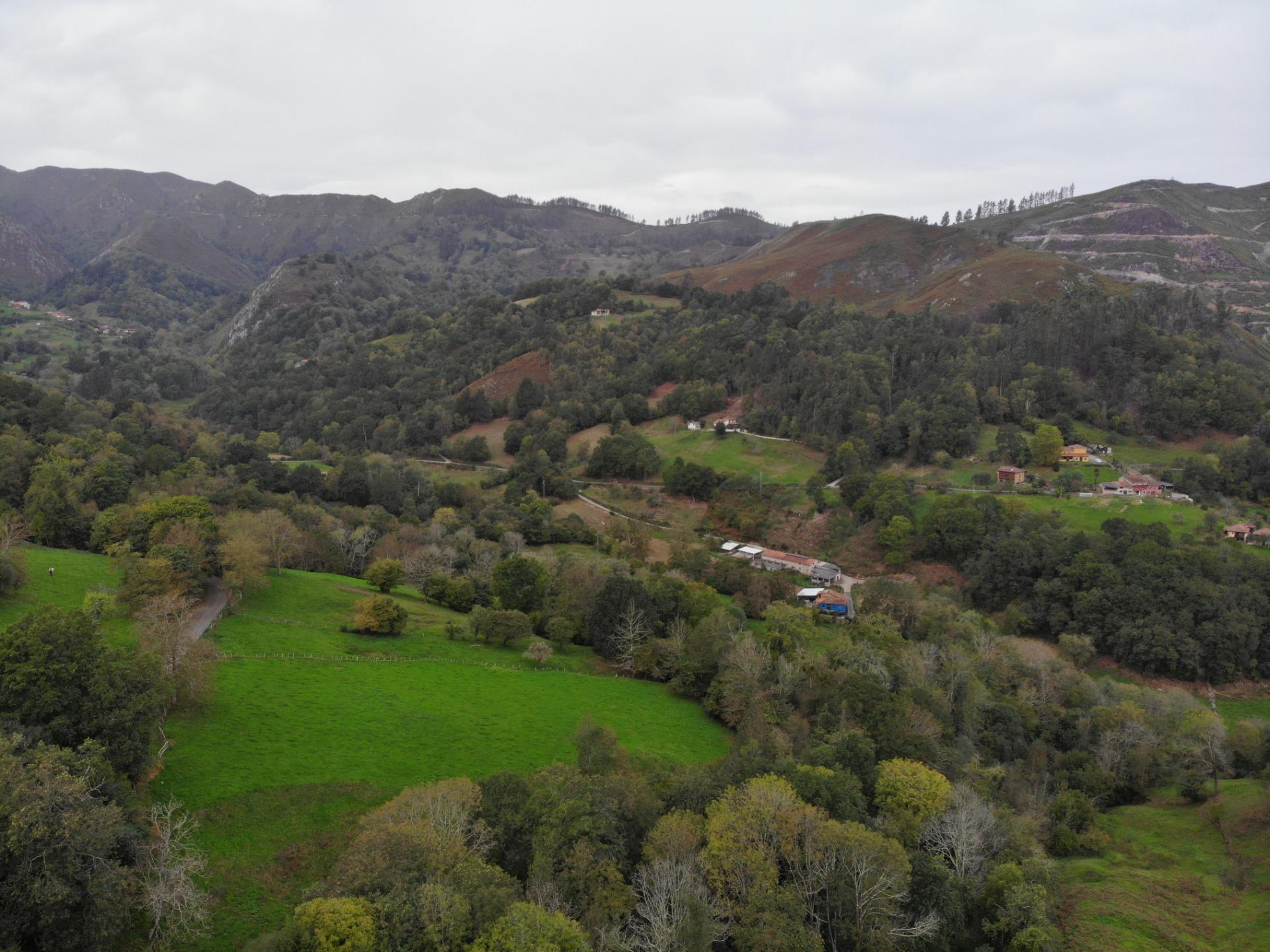 Fincas y solares-Venta-PiloÃ±a-1439492-Foto-35