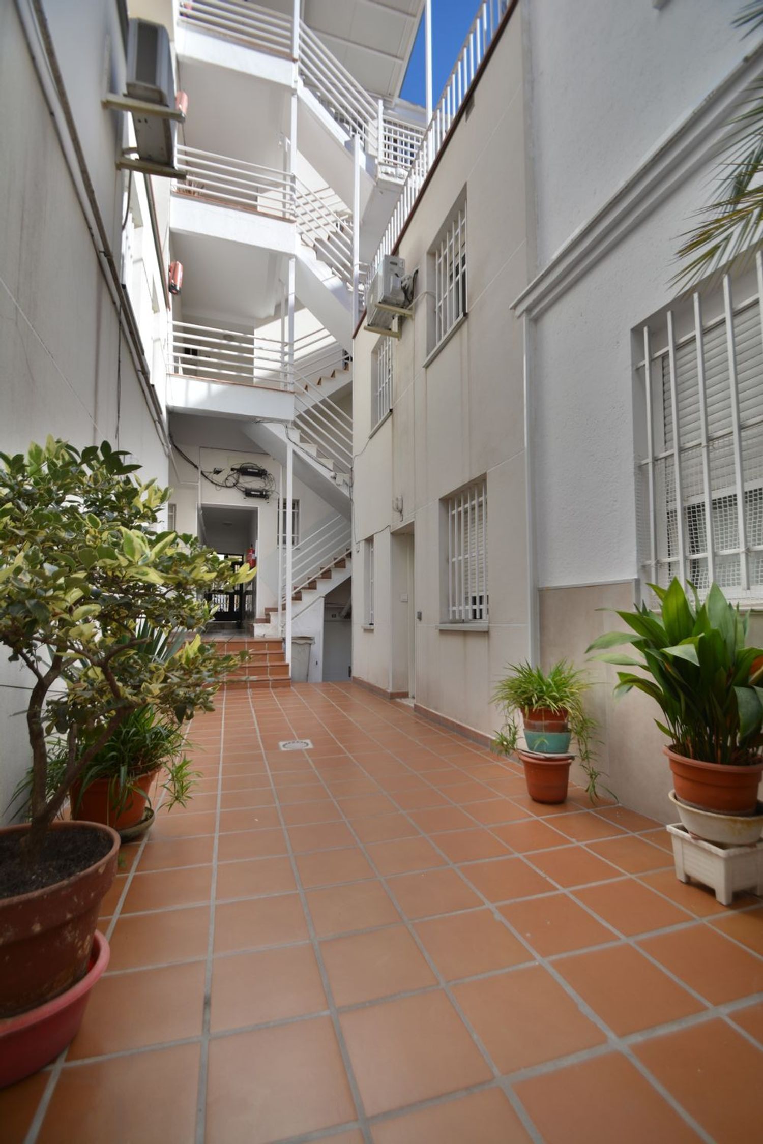 Pisos-Alquiler-Madrid-1877223-Foto-12