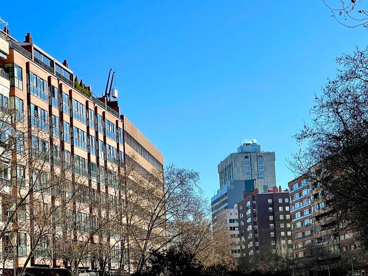 Pisos-Alquiler-Madrid-1838476-Foto-5