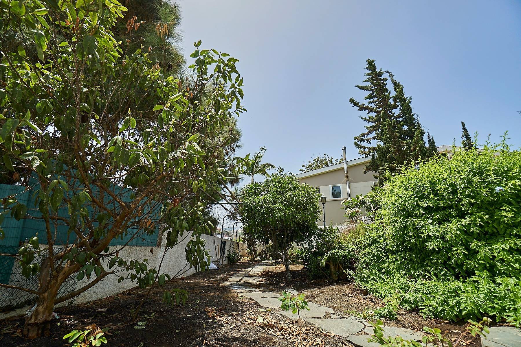 Casas o chalets-Venta-Santa BrÃ­gida-1887729-Foto-6