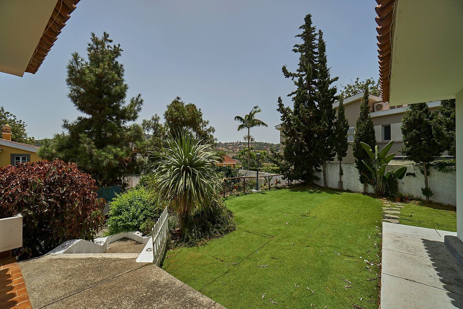 Casas o chalets-Venta-Santa BrÃ­gida-1887729-Foto-7