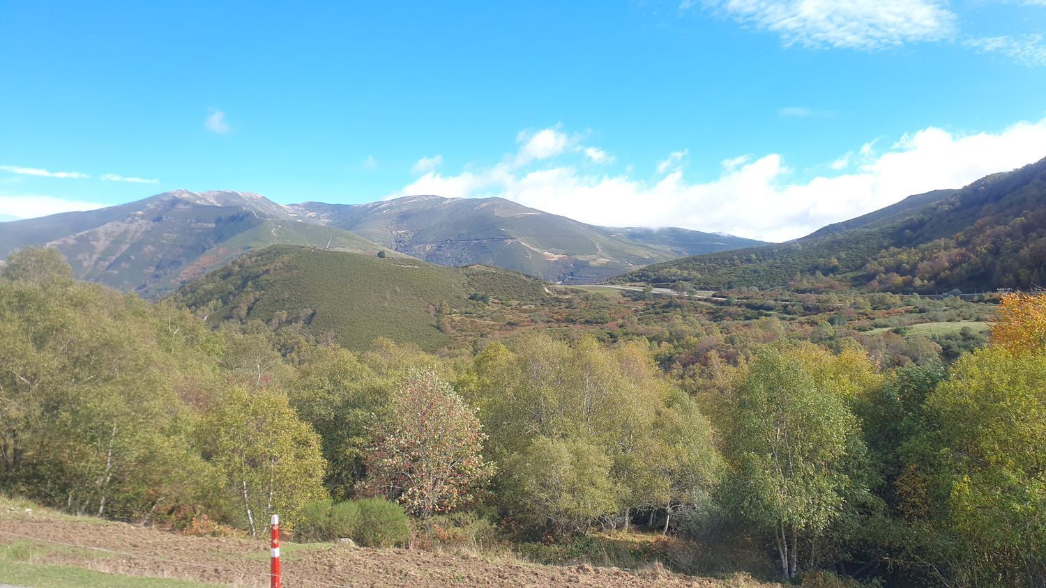 Pisos-Venta-Villena-1942370-Foto-3