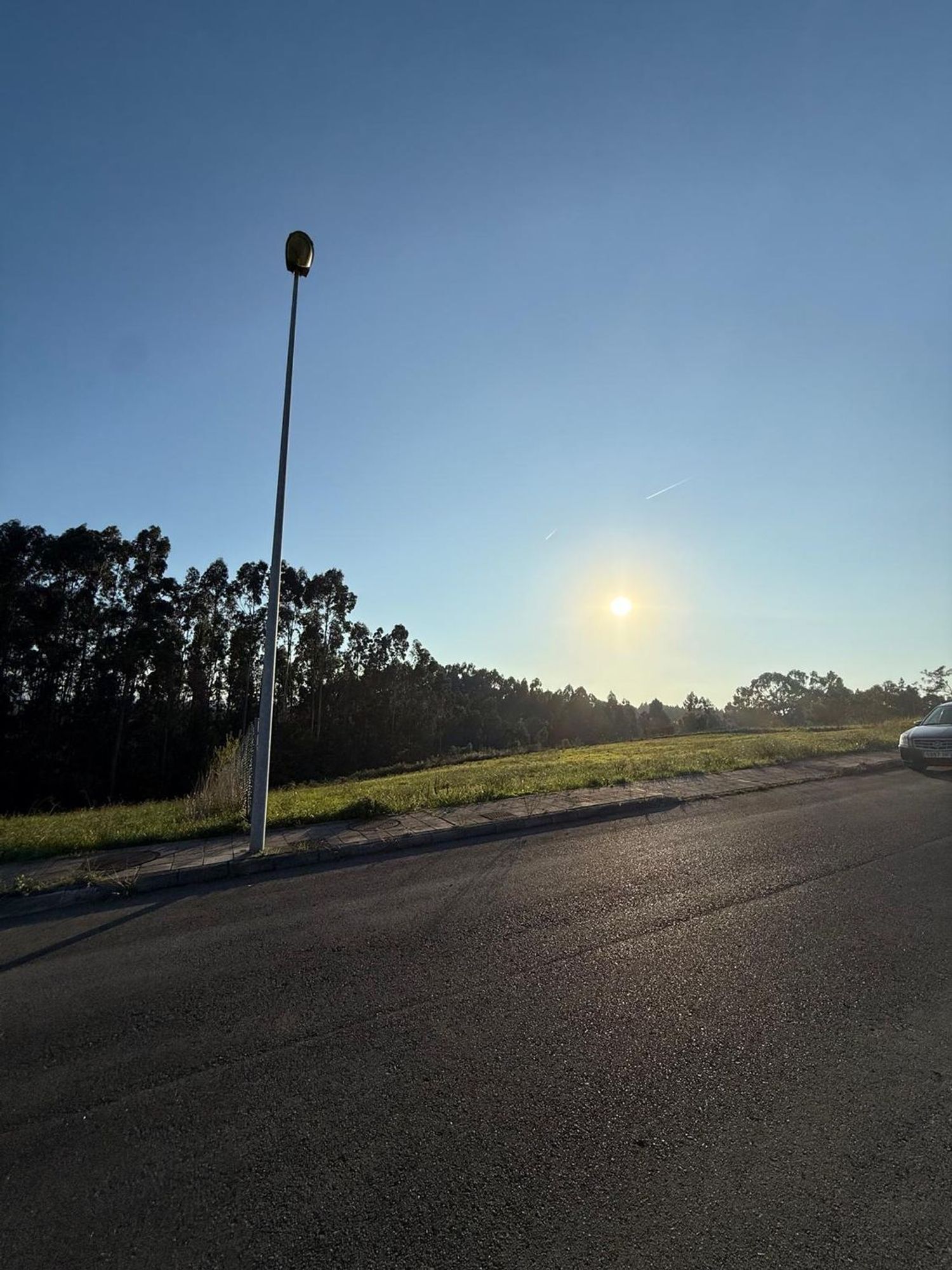 Fincas y solares-Venta-Murcia-1942373