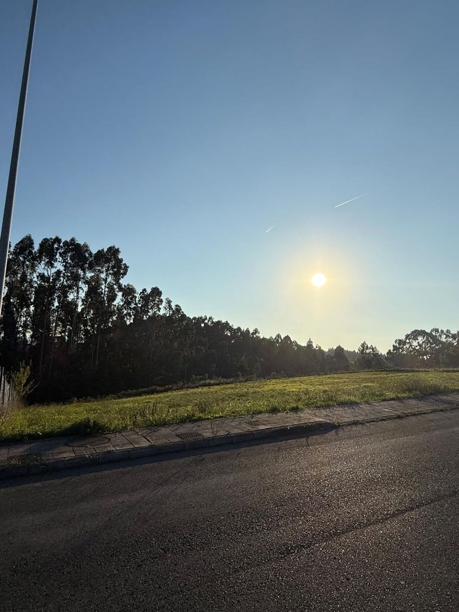 Fincas y solares-Venta-Murcia-1942373-Foto-2