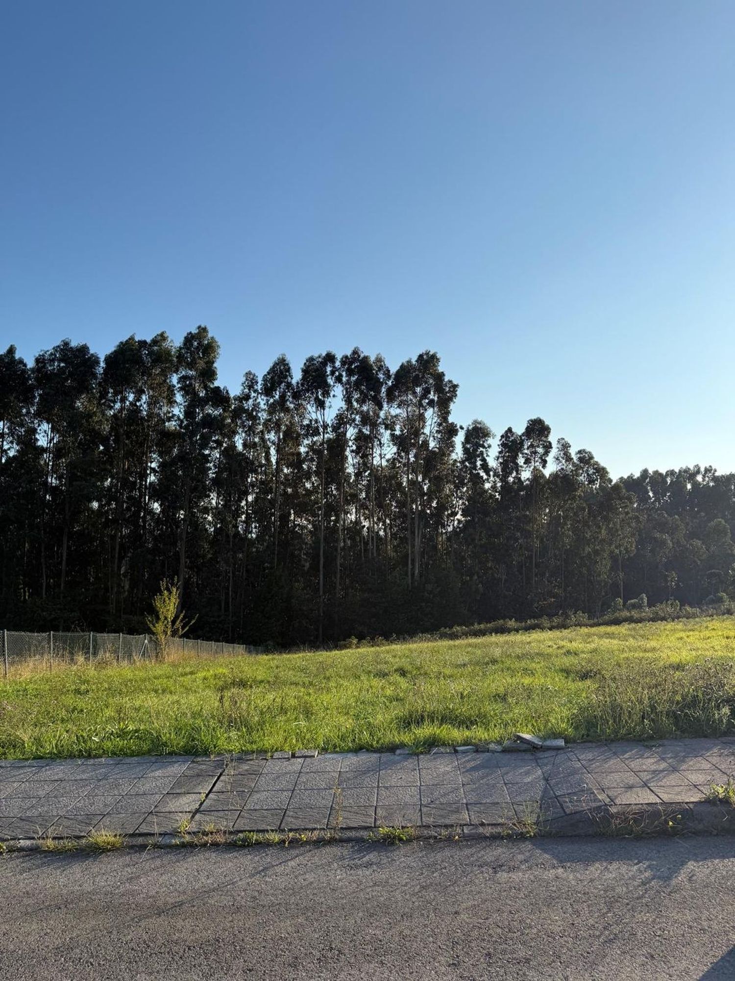 Fincas y solares-Venta-Murcia-1942373-Foto-3