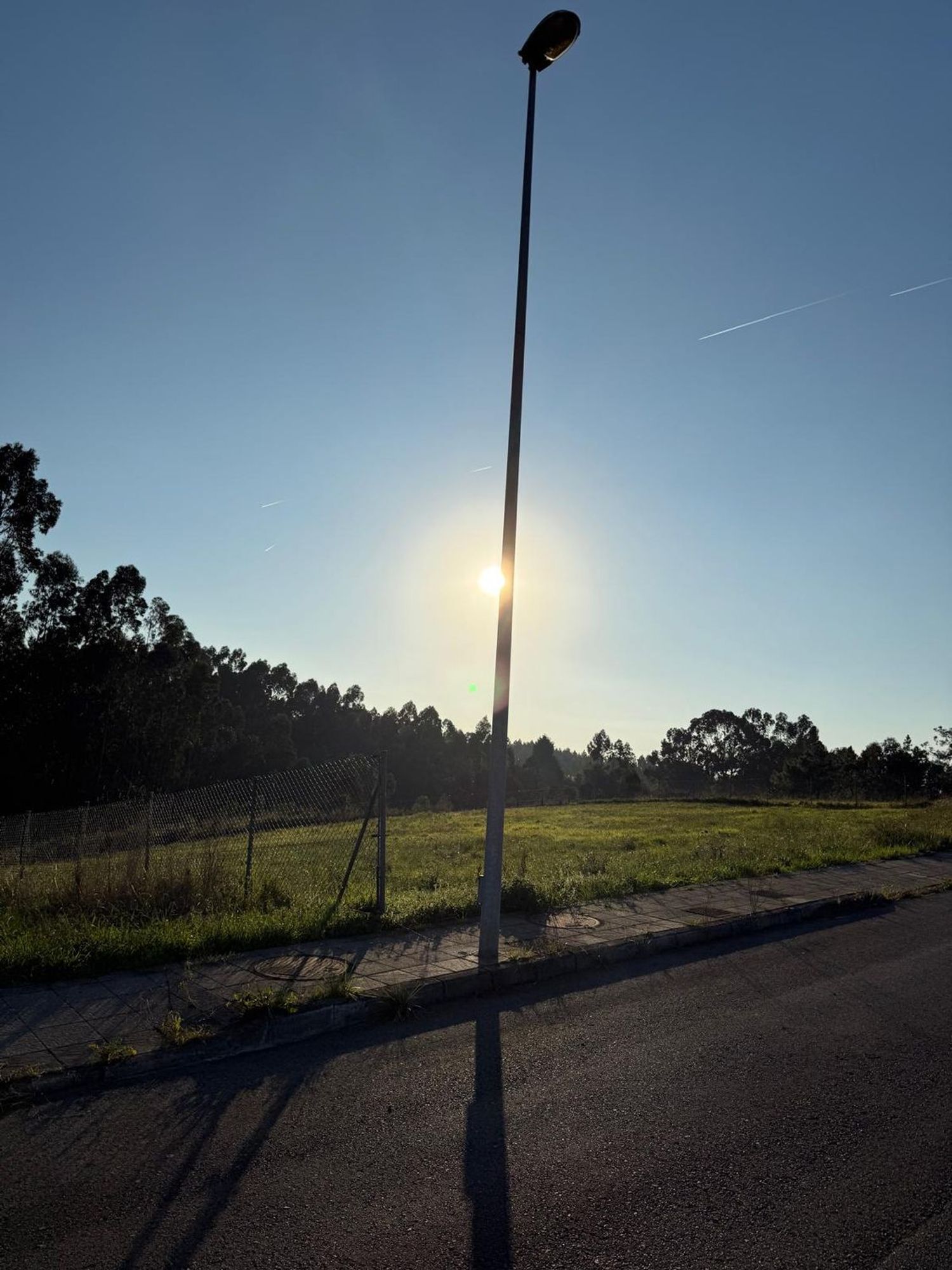 Fincas y solares-Venta-Murcia-1942373-Foto-4