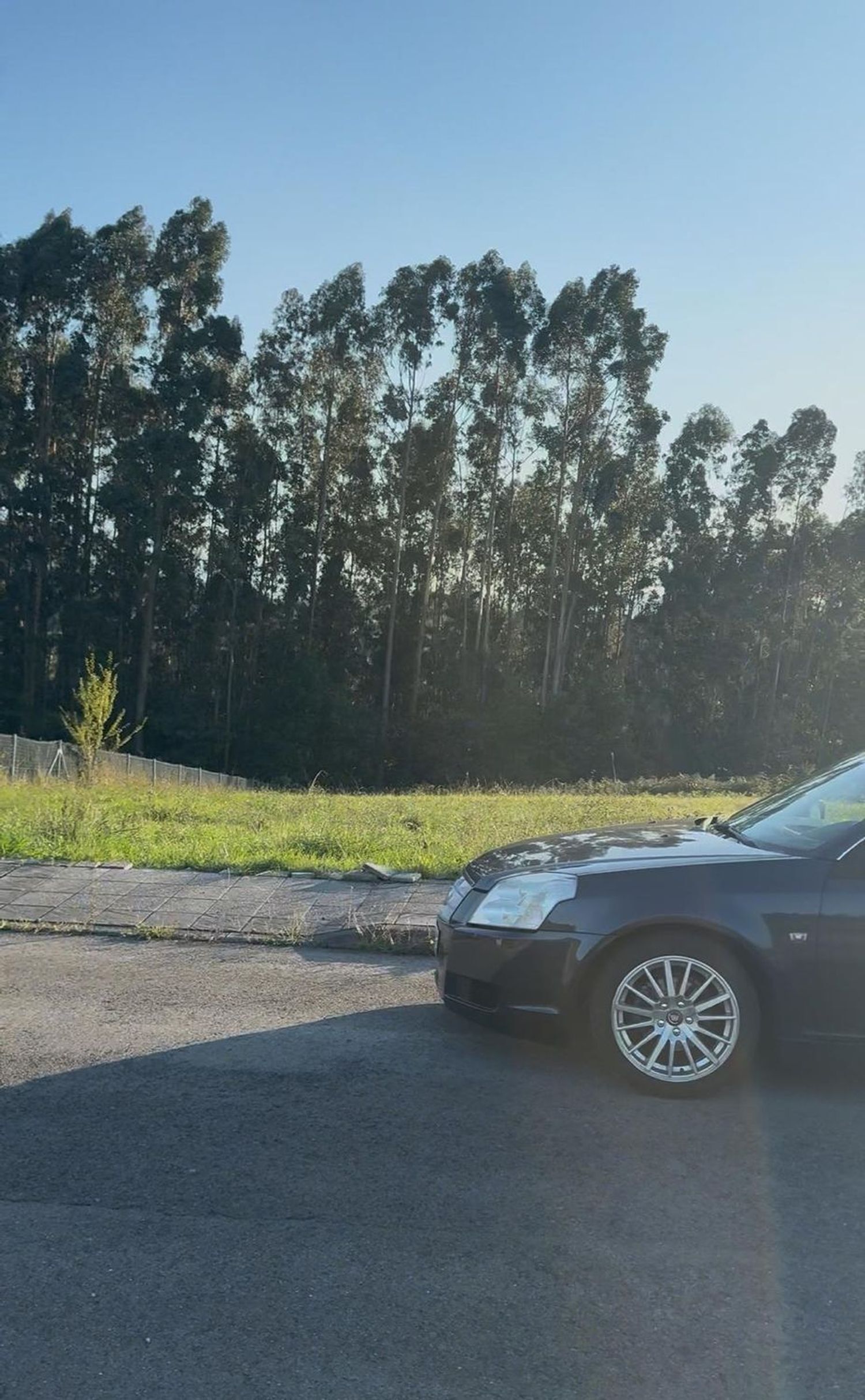 Fincas y solares-Venta-Murcia-1942373-Foto-5