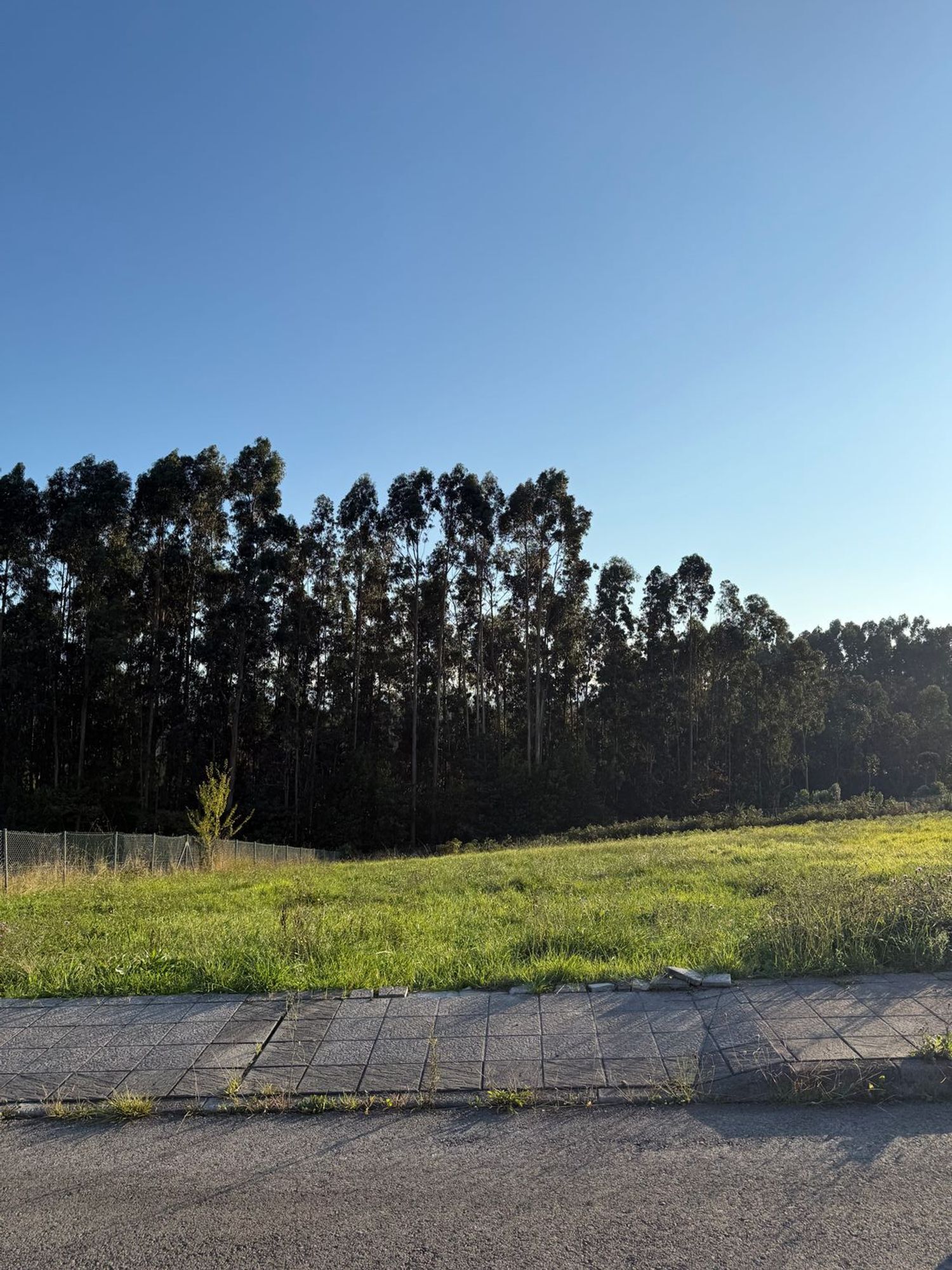 Fincas y solares-Venta-Murcia-1942376