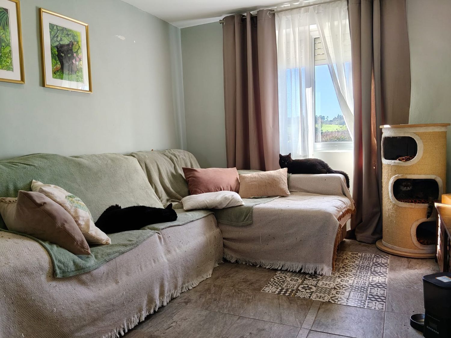 Casas o chalets-Venta-GozÃ³n-1942379-Foto-7