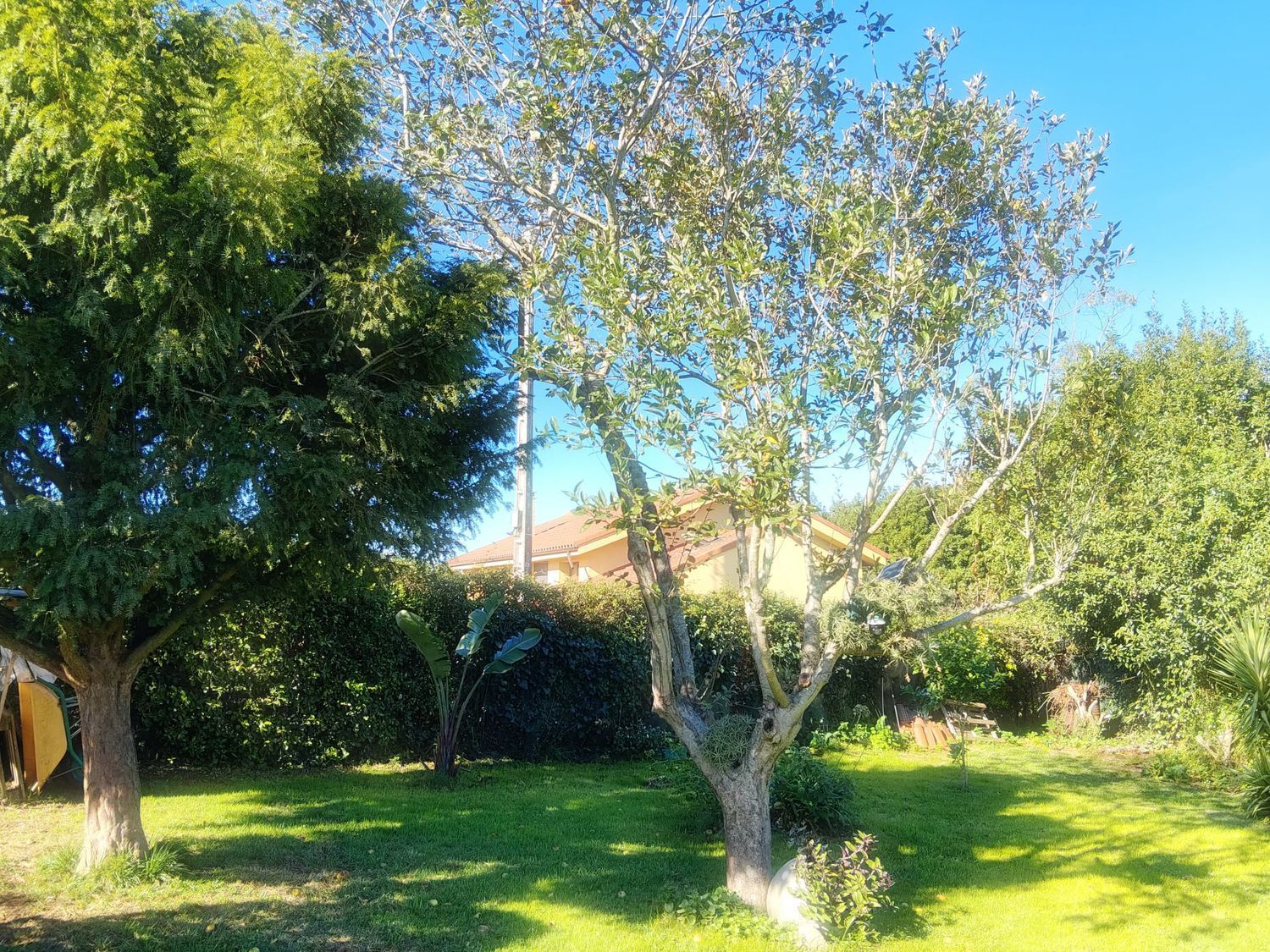 Casas o chalets-Venta-GozÃ³n-1942379-Foto-39