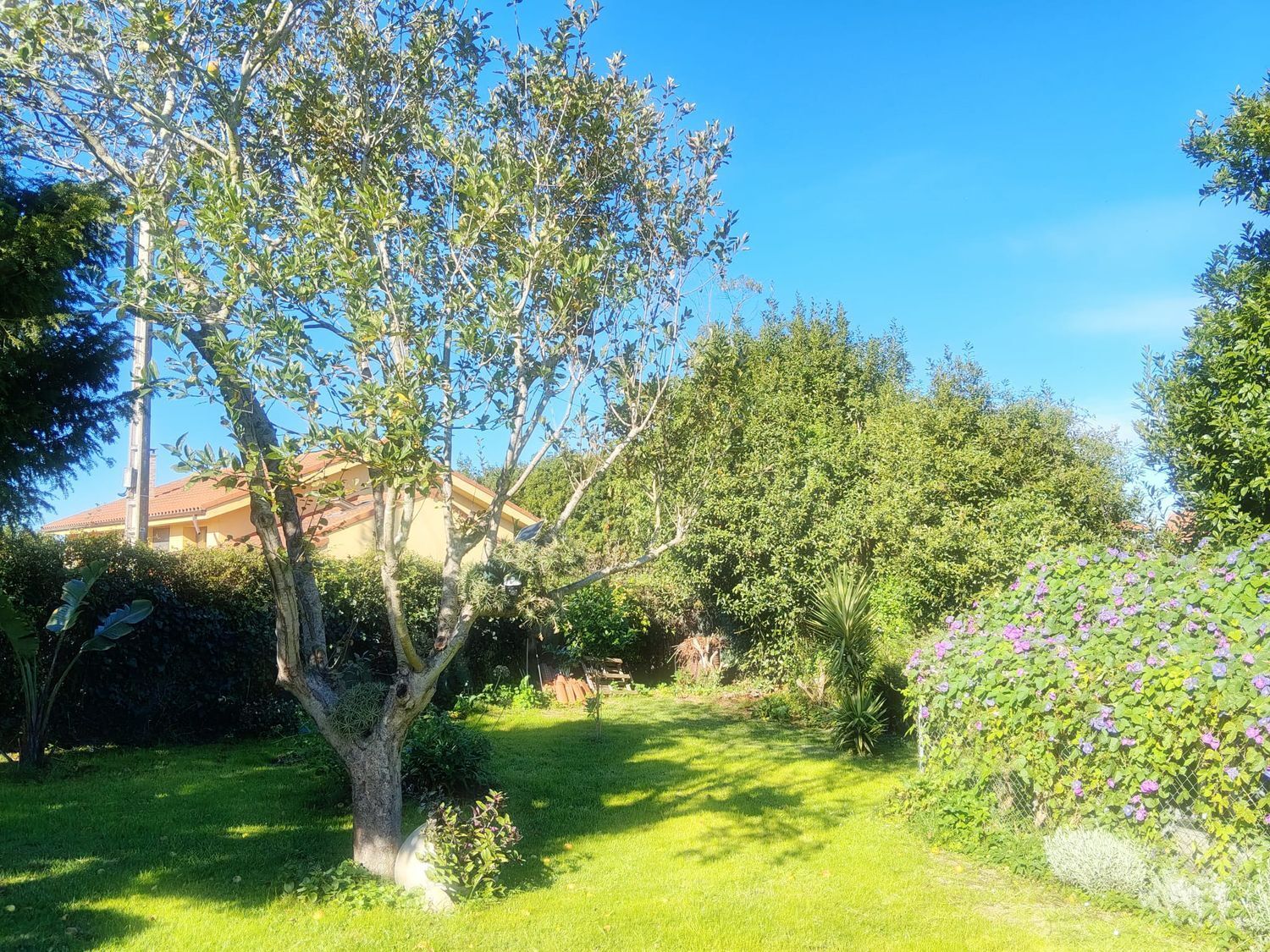 Casas o chalets-Venta-GozÃ³n-1942379-Foto-42